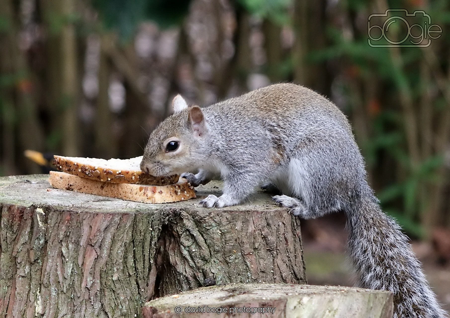 20260330 112659 Dunnikier 0164.jpg