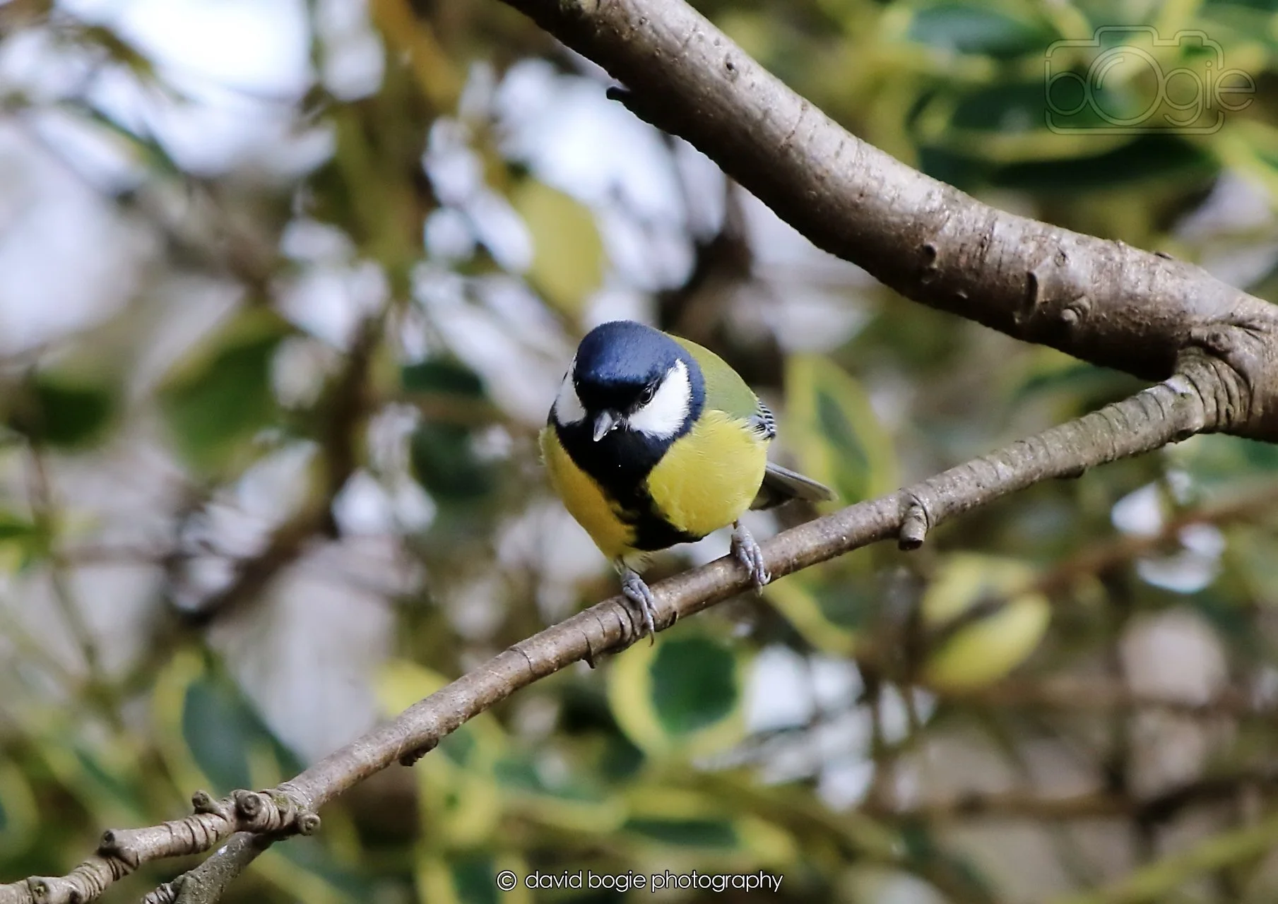 20260326 120204 Silverburn 0313.jpg