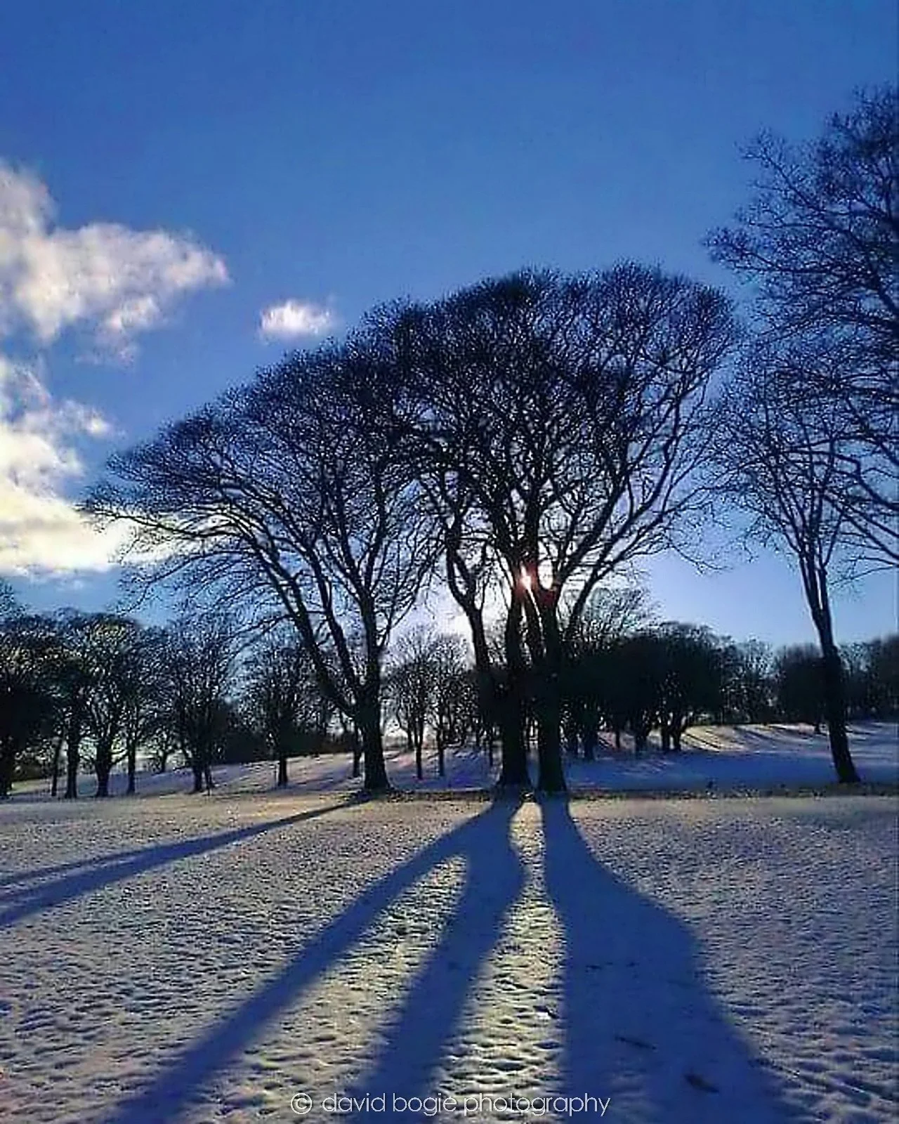 20160326 Beveridge Park 0001.jpg