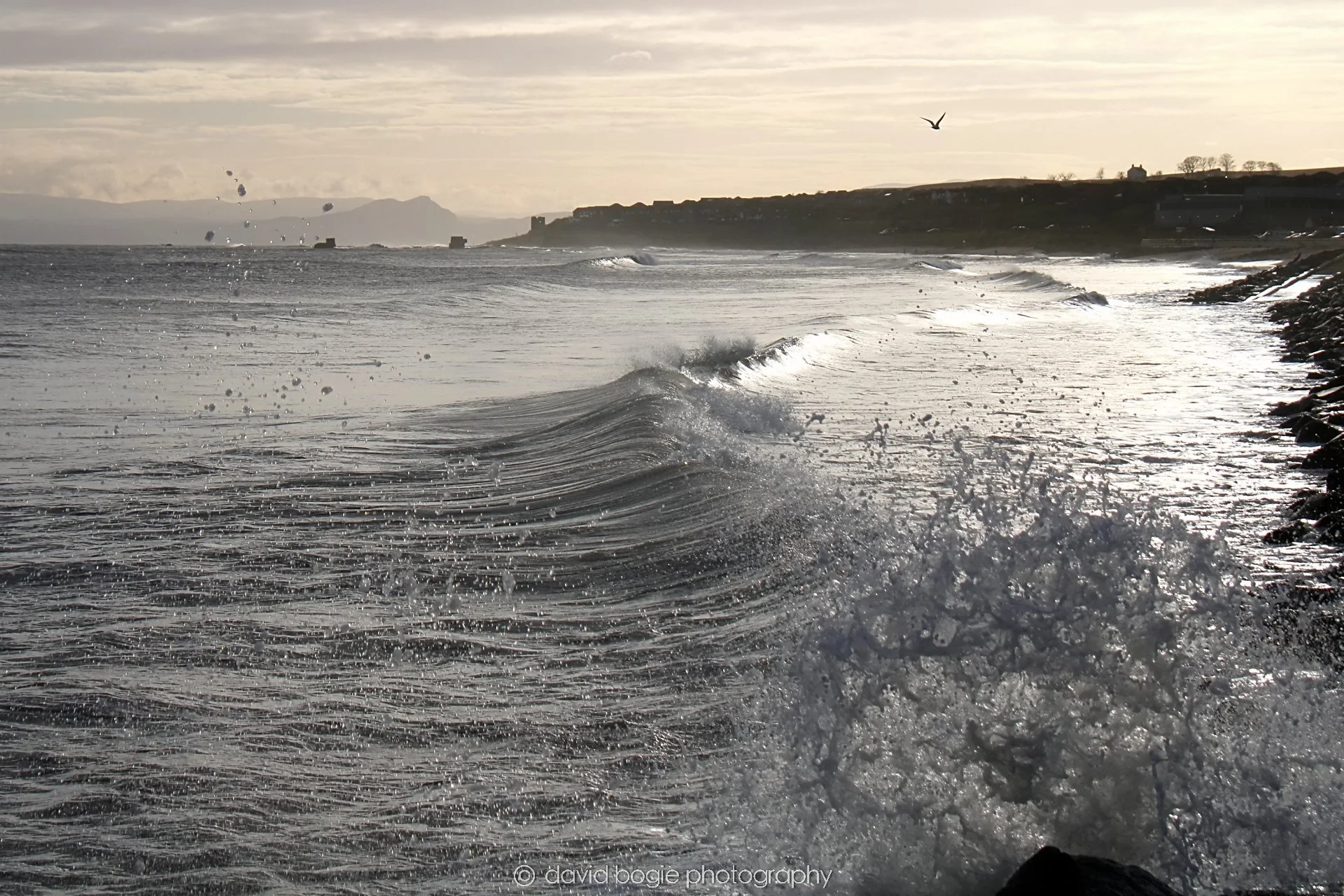 YEAR20231128 140352 Kirkcaldy 0407.jpg