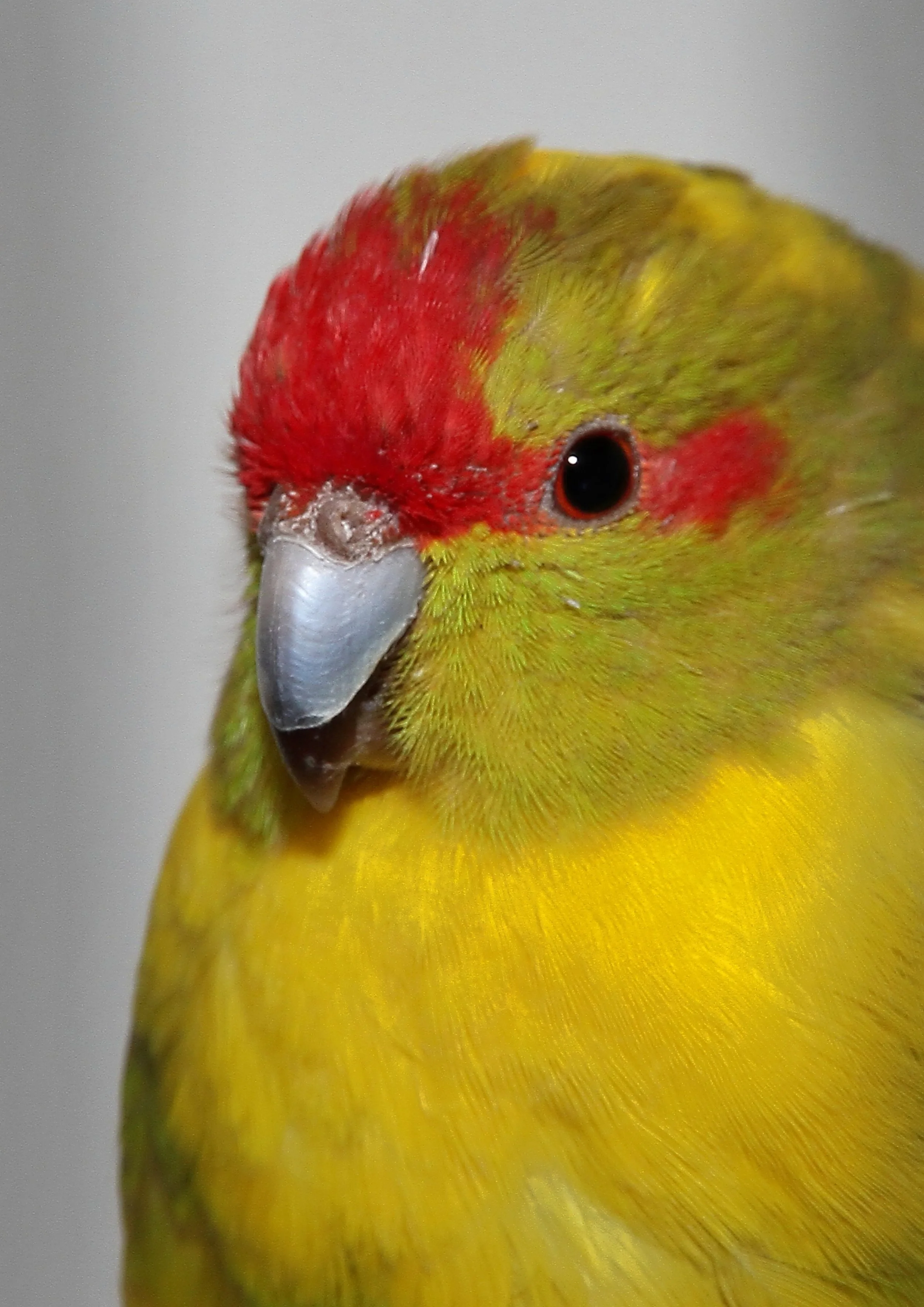 20260331 104043 K&S 0294.jpg