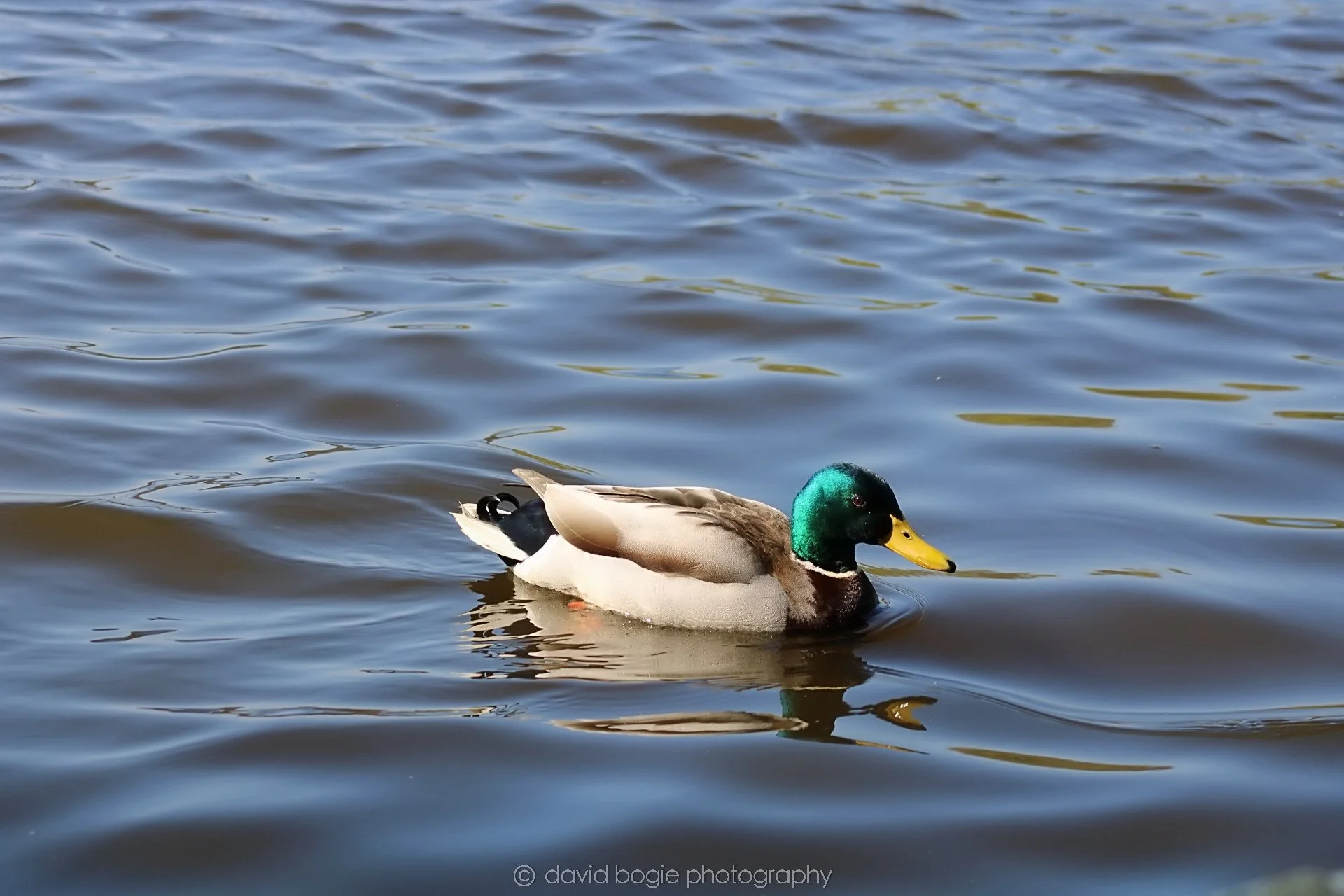 20190411 110429 Otterston 0003.jpg