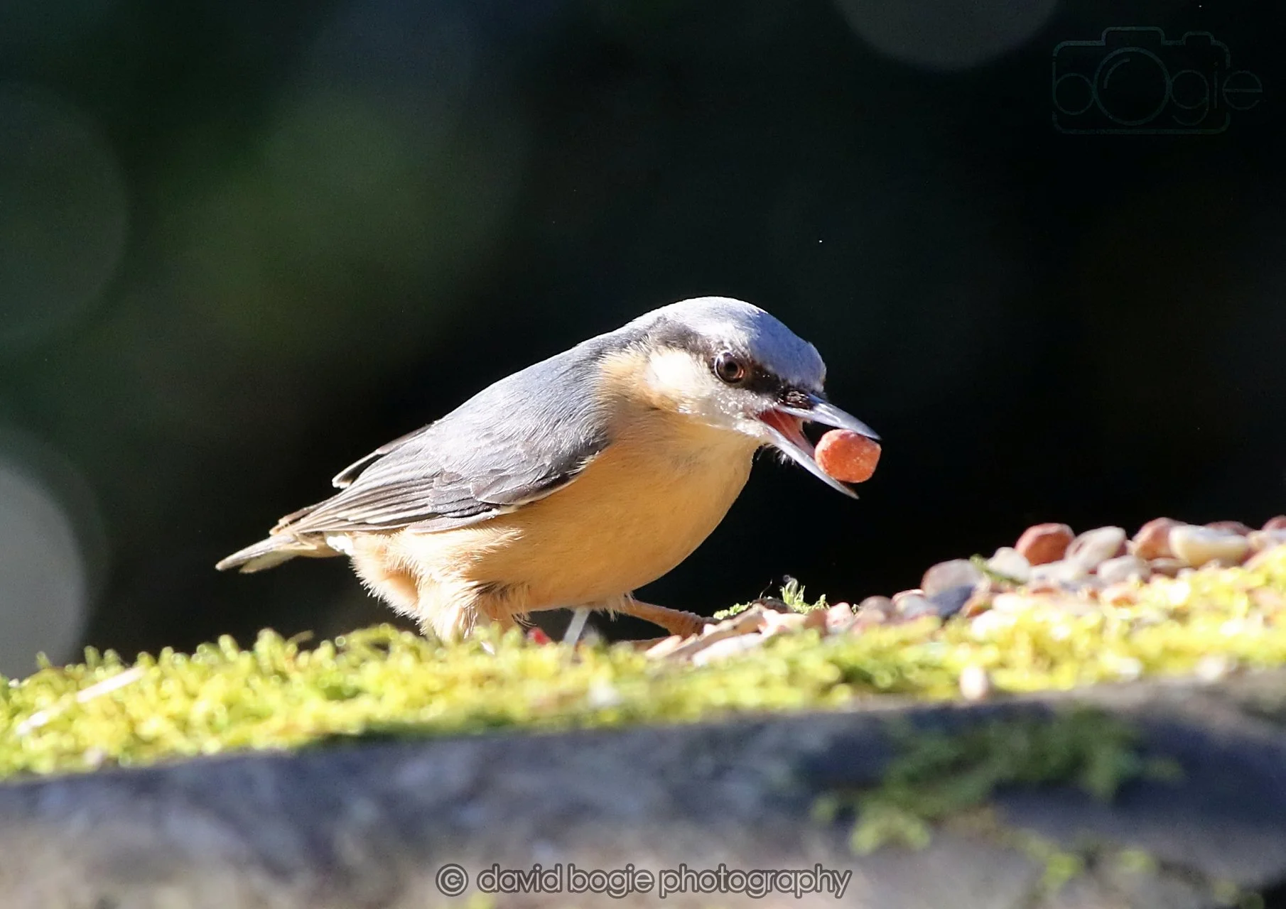 20260320 142936 Ravenscraig 0281.jpg