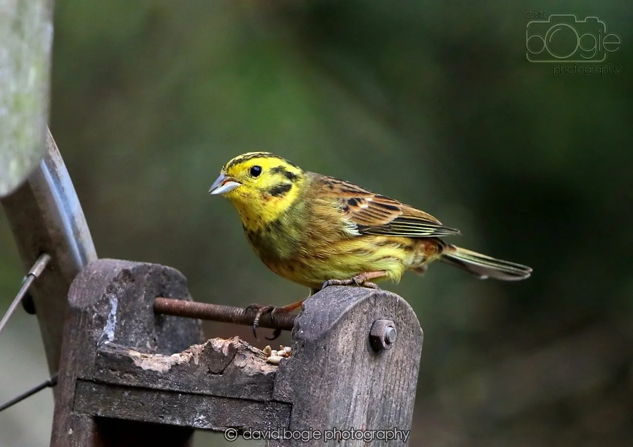 20260215 132434 Silverburn 0133.jpg