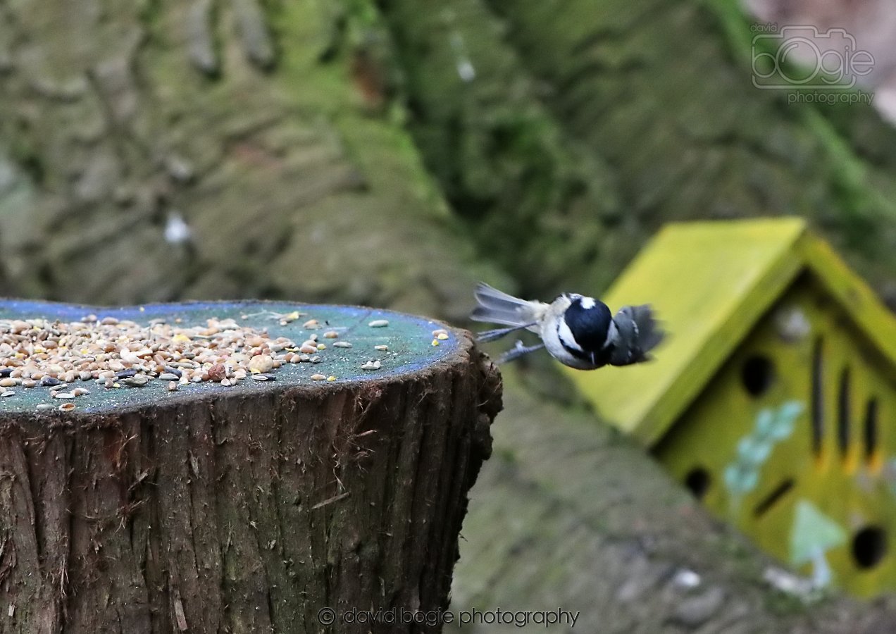 20260309 114140 Dunnikier 0287.jpg