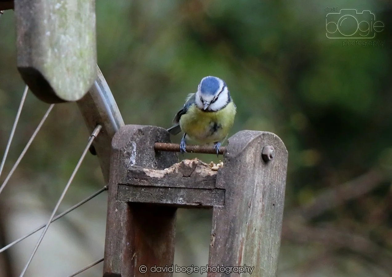 20260215 131753 Silverburn 0072.jpg