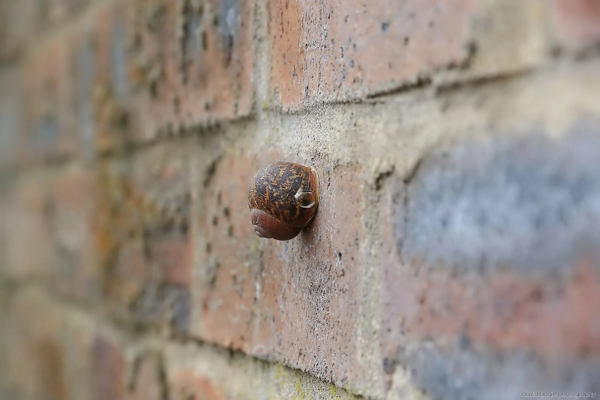 20260426 105313 Bus Bundle 0175.jpg