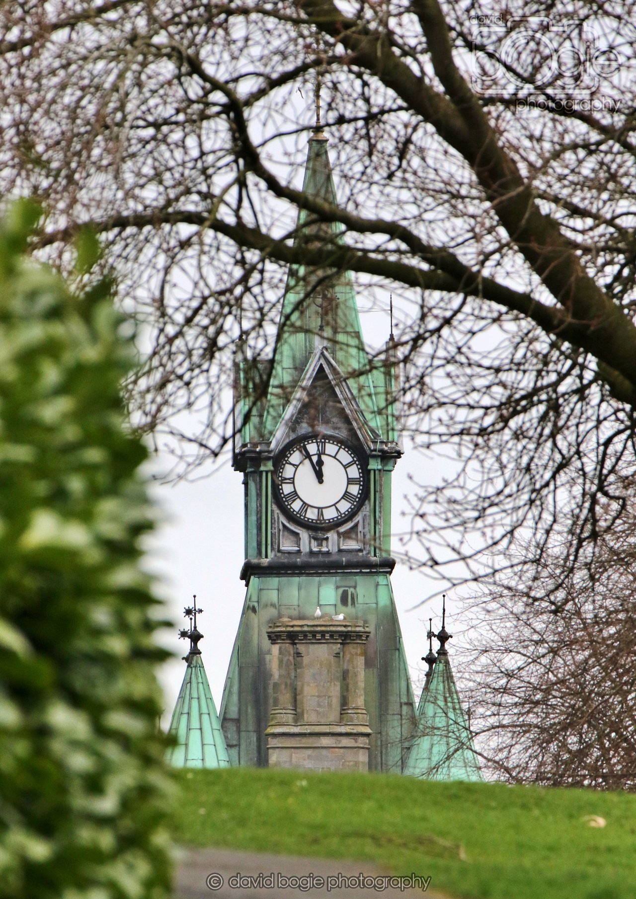 20260324 115554 Pittencrieff Park 0012.jpg