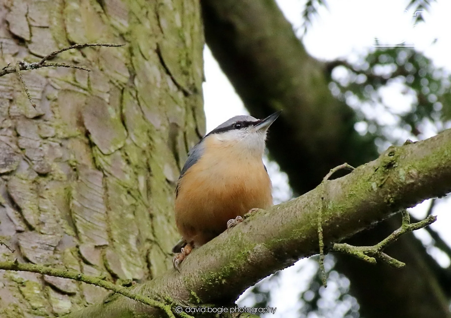 20260330 113017 Dunnikier 0213.jpg