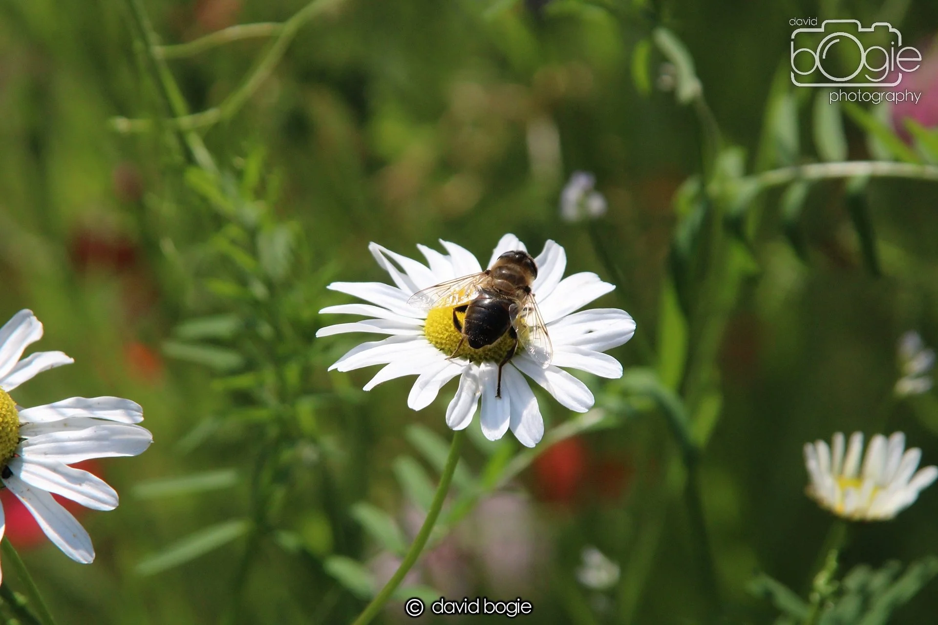 20210727 Beveridge Park3 .JPG