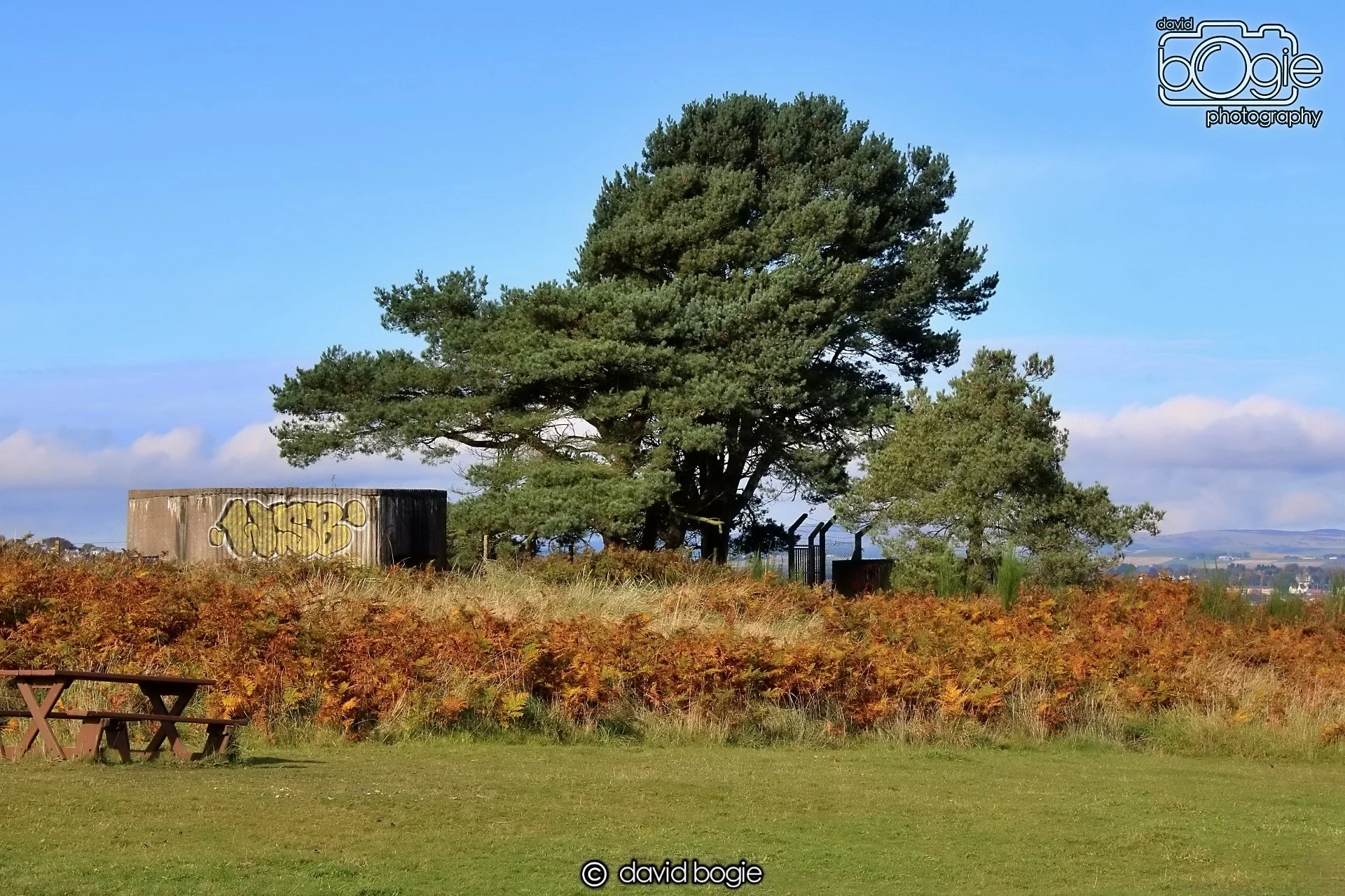 20191014 120821 Tentsmuir 0032.JPG