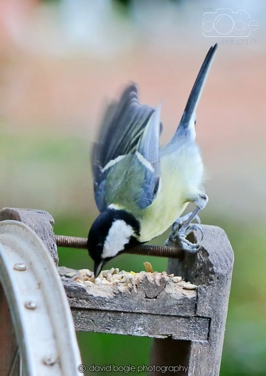 20260215 131508 Silverburn 0054.jpg