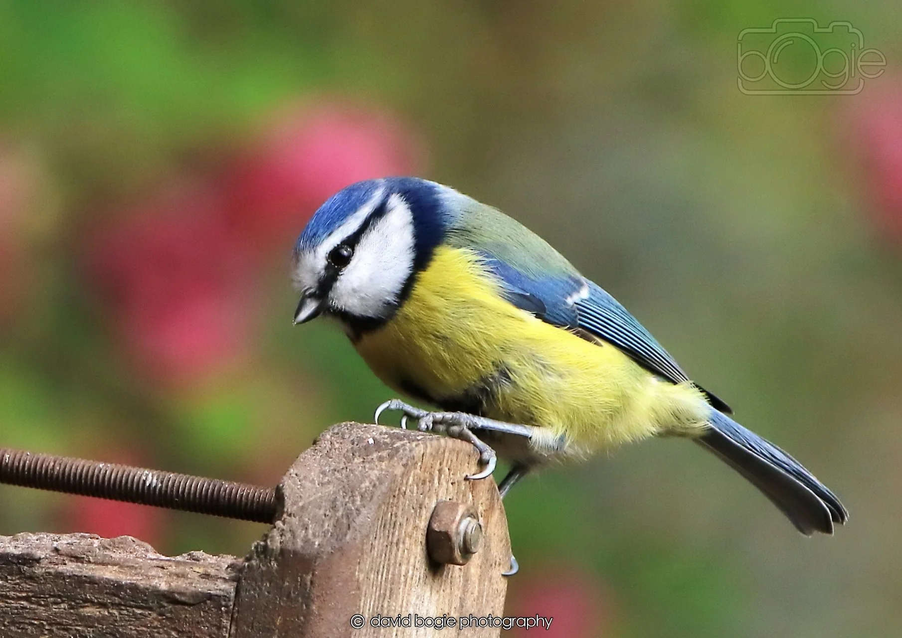 20260326 121208 Silverburn 0464.jpg