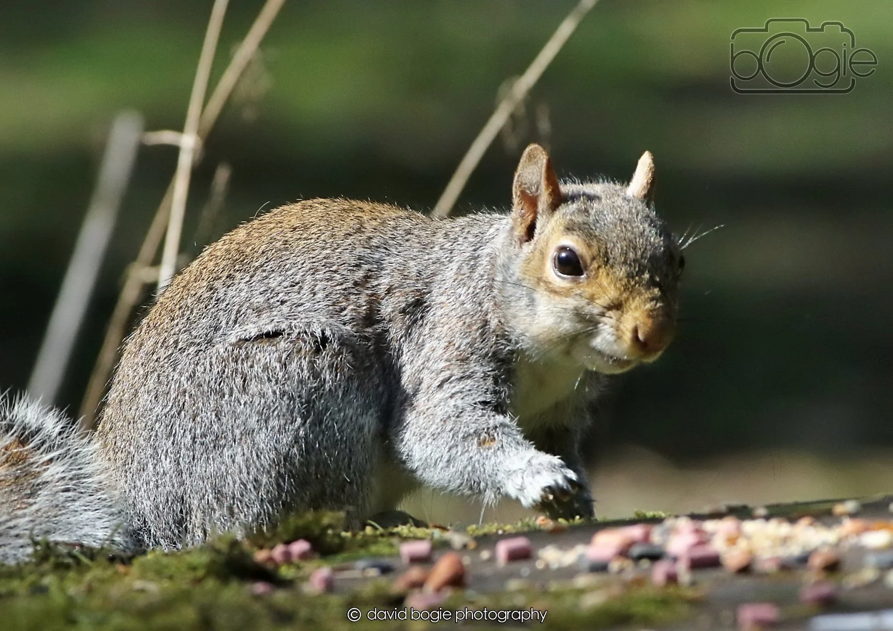 20260402 122751 Ravenscraig 0348.jpg