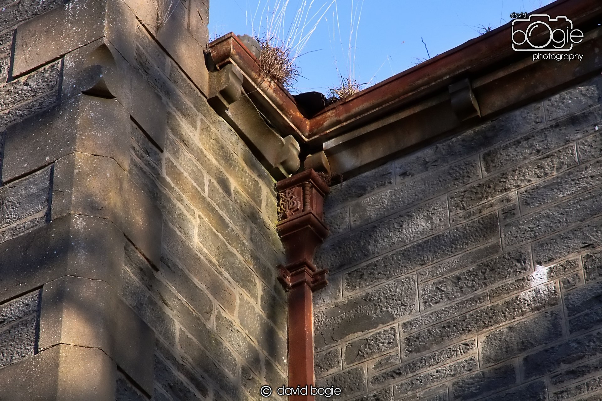 20221215 00156 Dunalistair.JPG