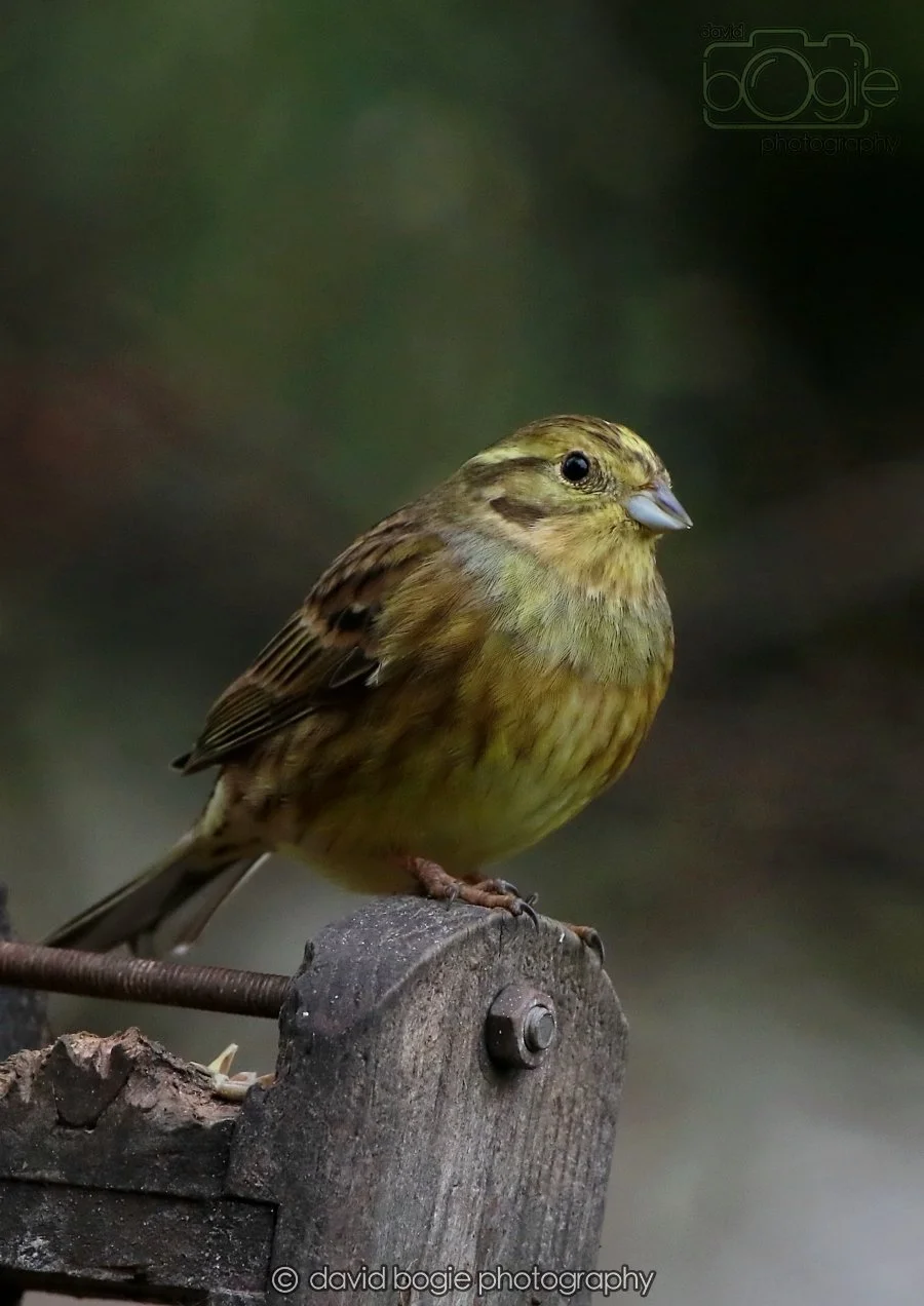 20260215 132612 Silverburn 0197.jpg