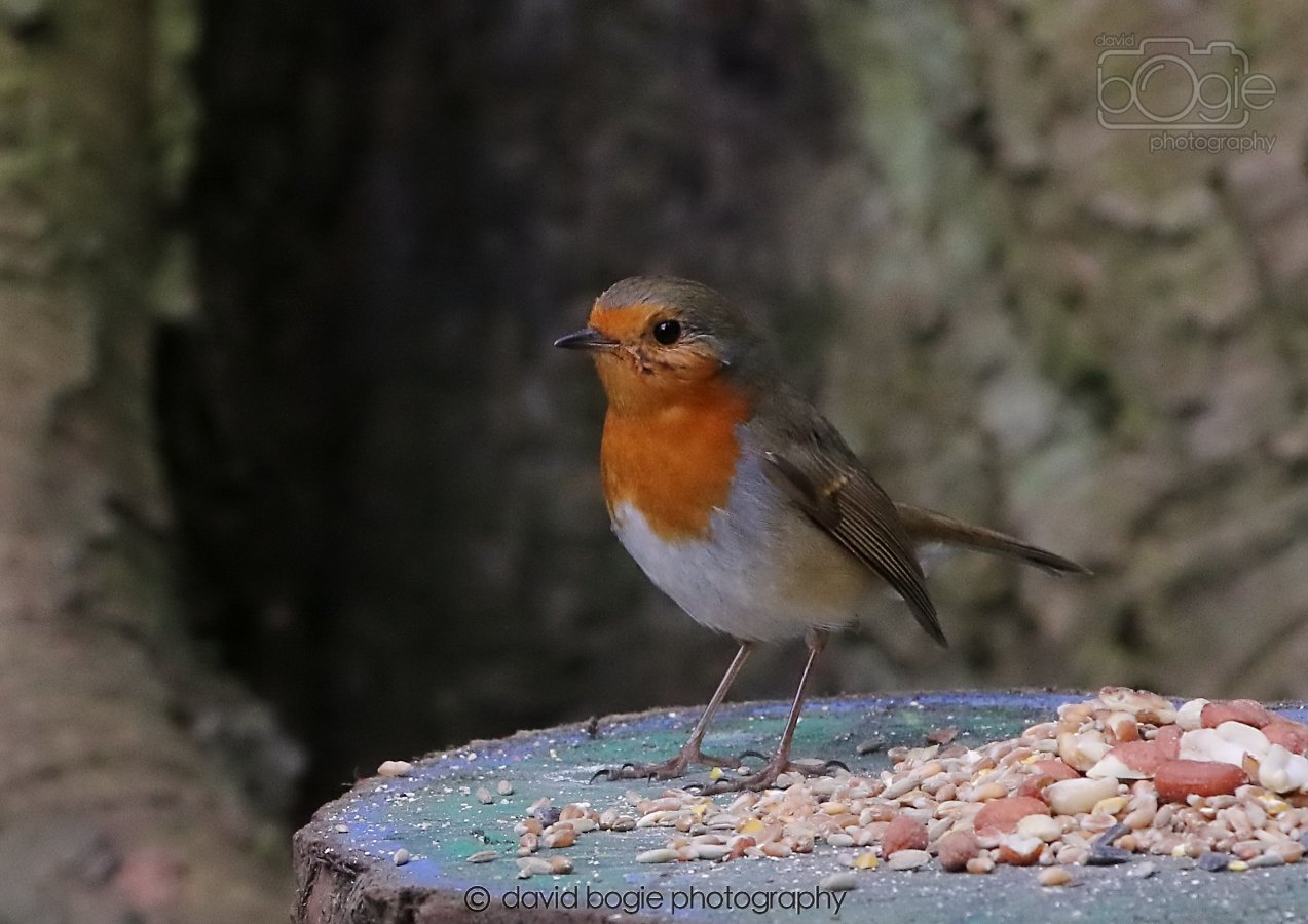 20260309 113446 Dunnikier 0208.jpg