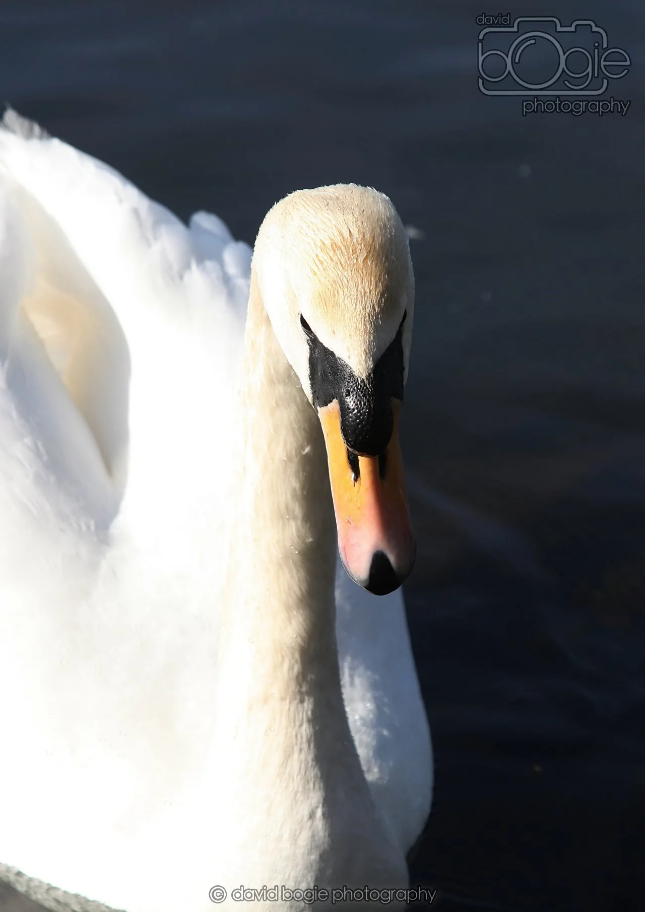 20260319 132349 Beveridge Park 0201.jpg