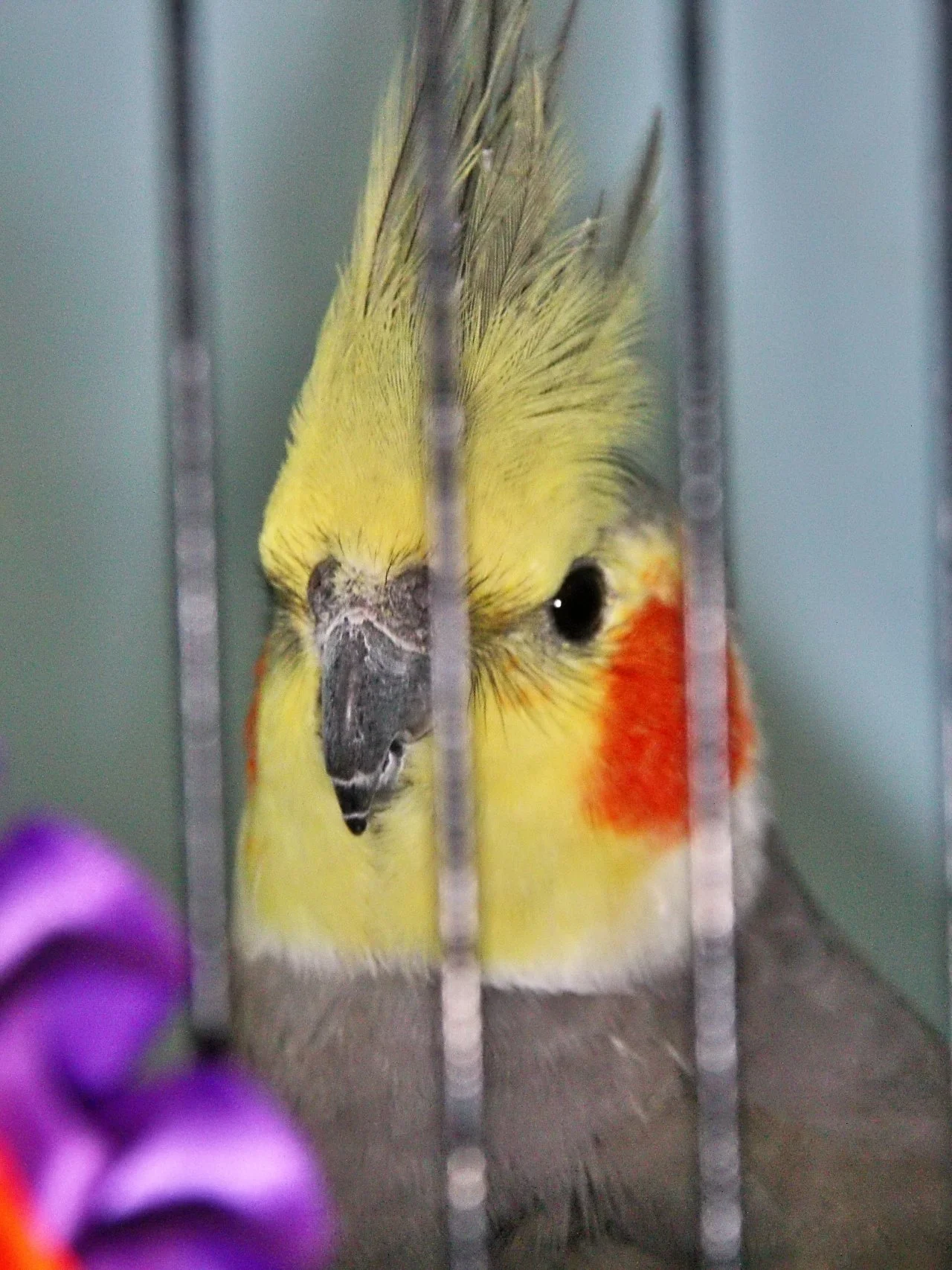 20241103 131621 MCBS Show 0517.JPG