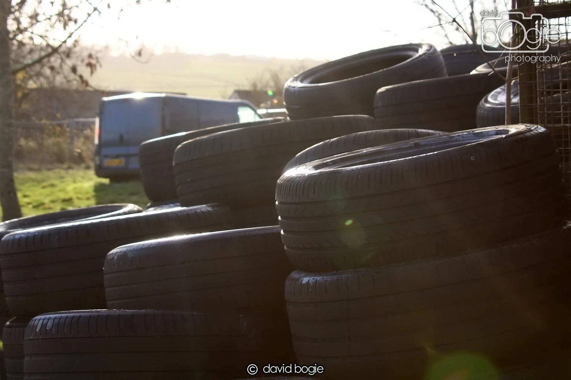 20221208 Reekies 00008 .JPG