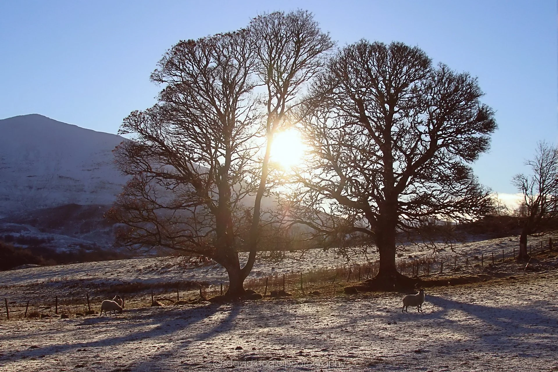 YEAR20221215 00265 Aberfeldy.jpg