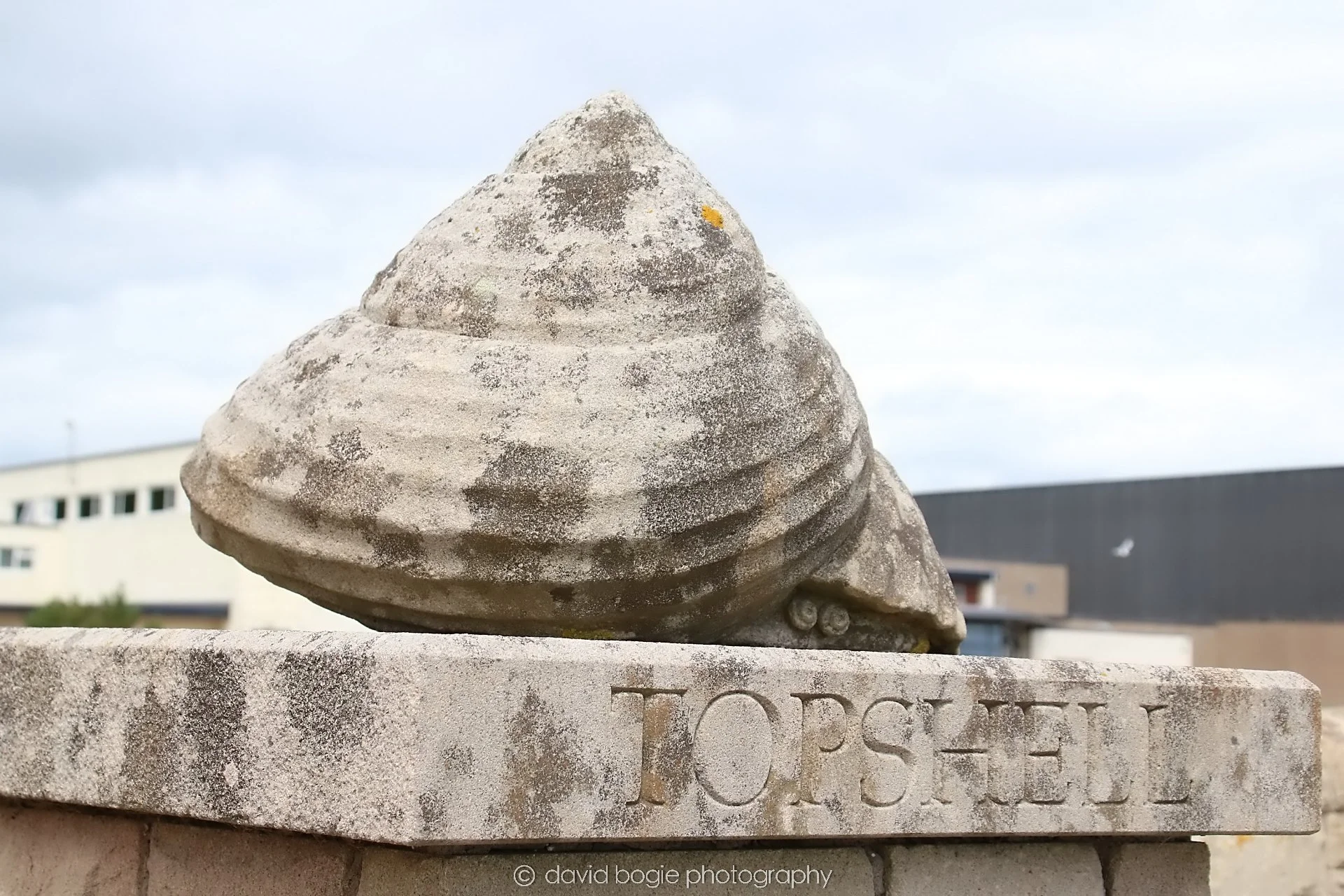 YEAR20250630 125031 Carnoustie 0048.jpg