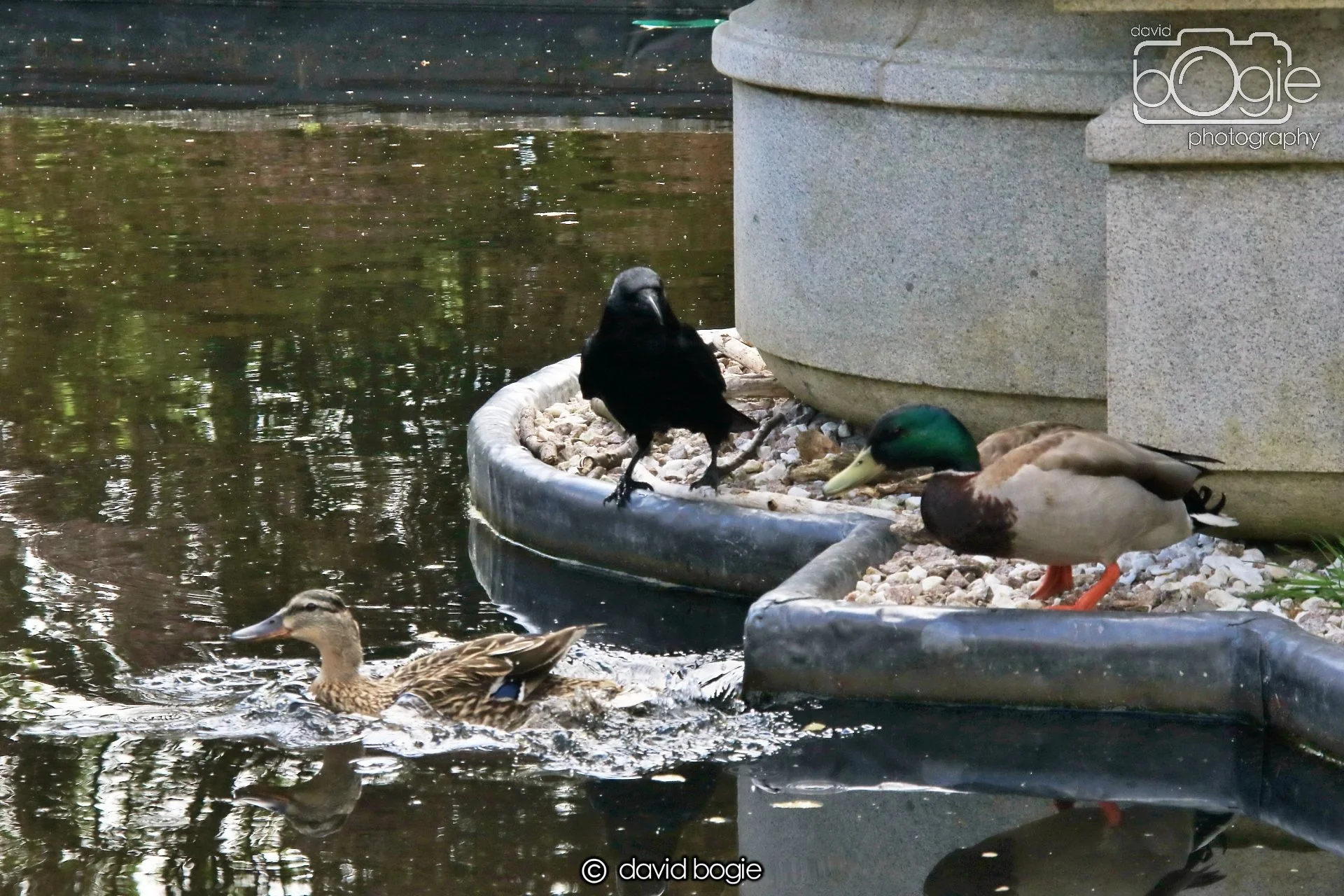 20250505 132330 Beveridge Park 0808.JPG