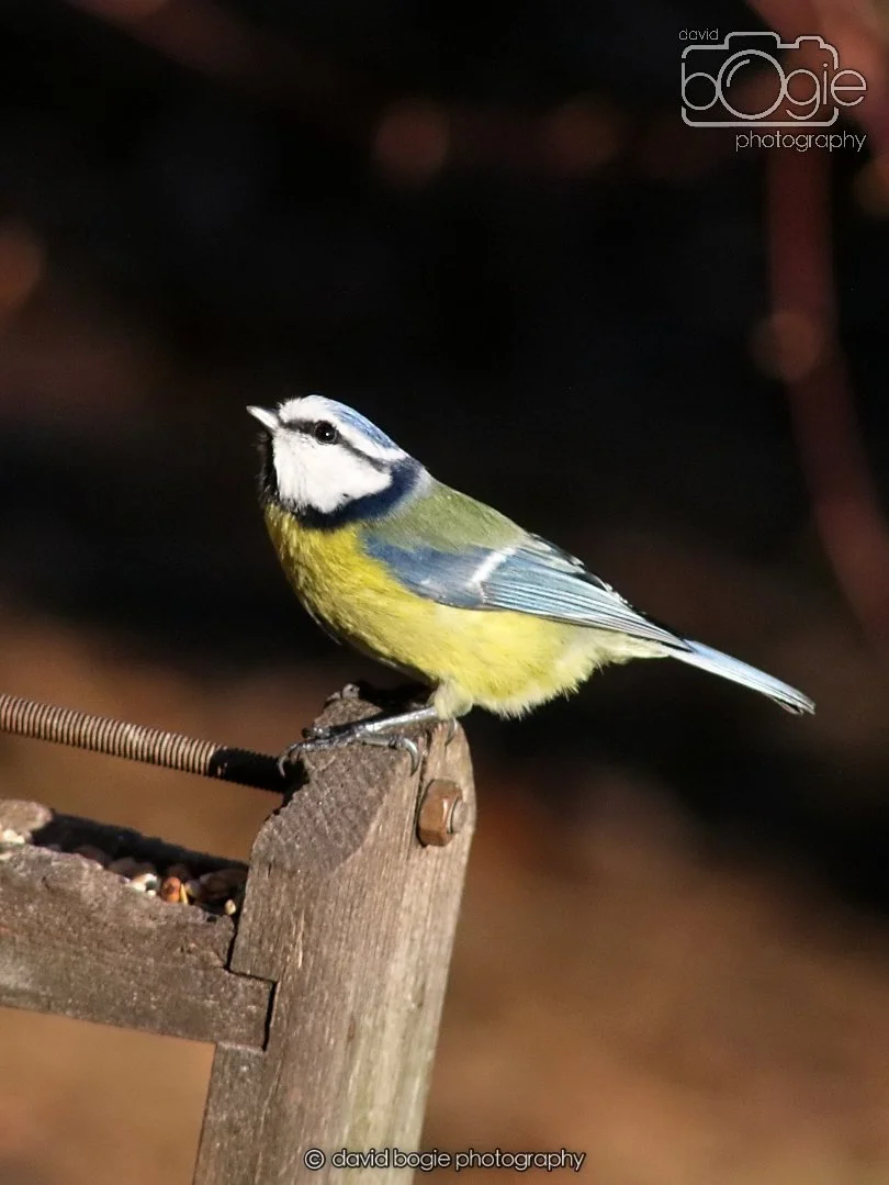 20251231 134344 Silverburn 0210.JPG