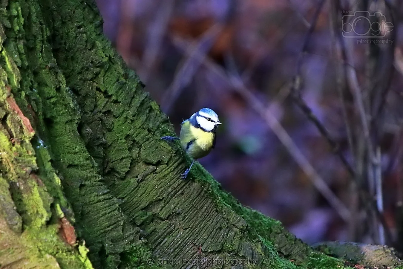 20260128 143716 Dunnikier 0420.jpg