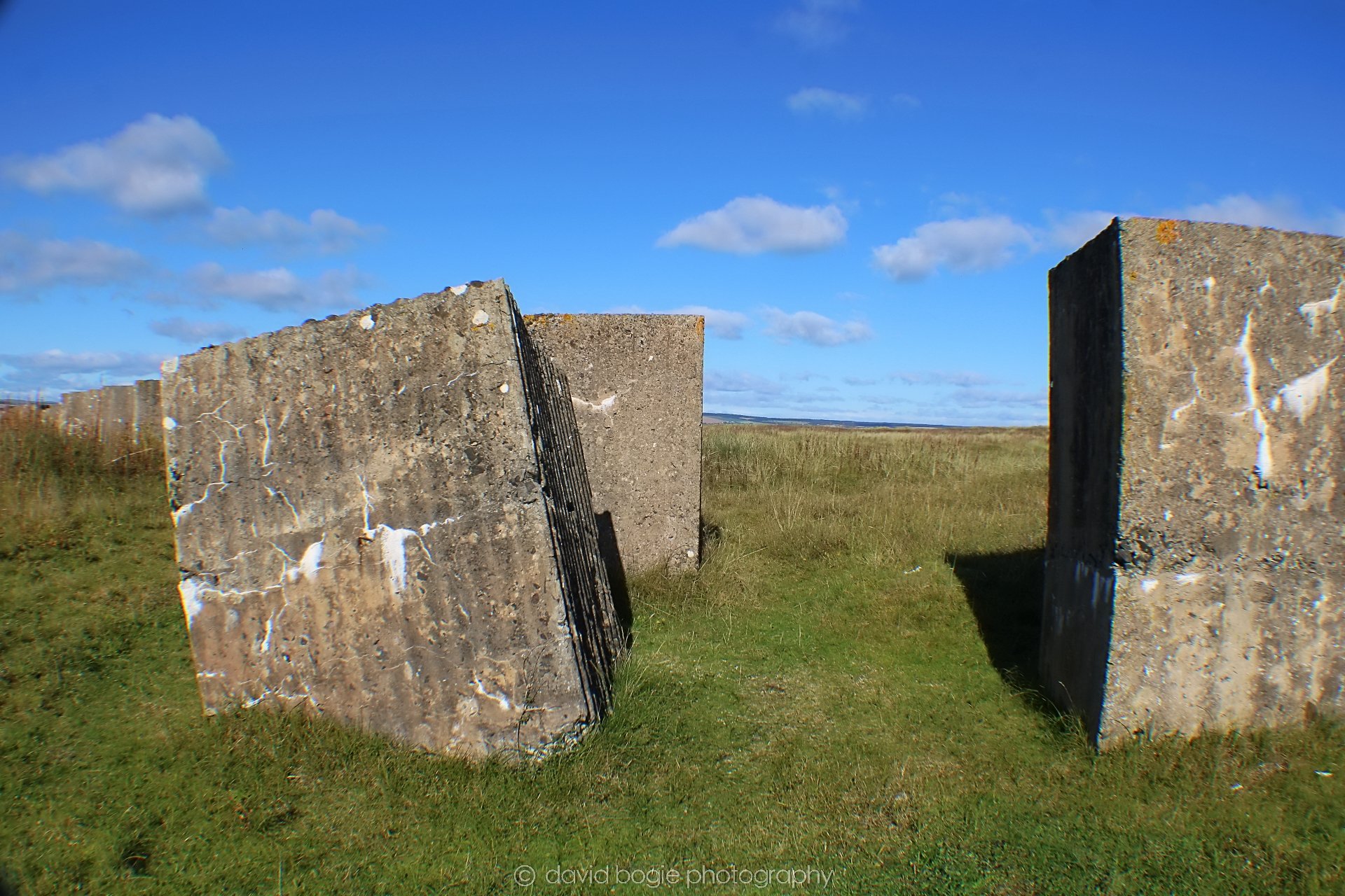 20191002 134617 Tentsmuir 0026.jpg