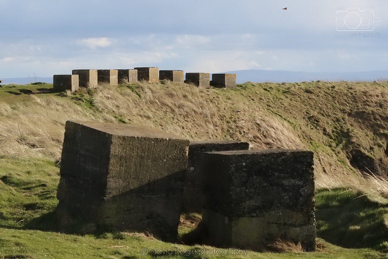 20260314 160527 Elie 0027.jpg