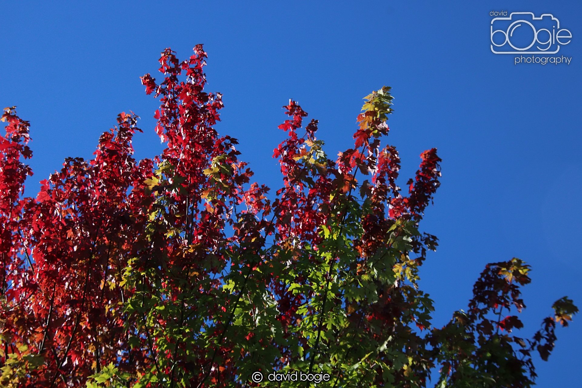 20240918 113216 Beveridge 0105.JPG