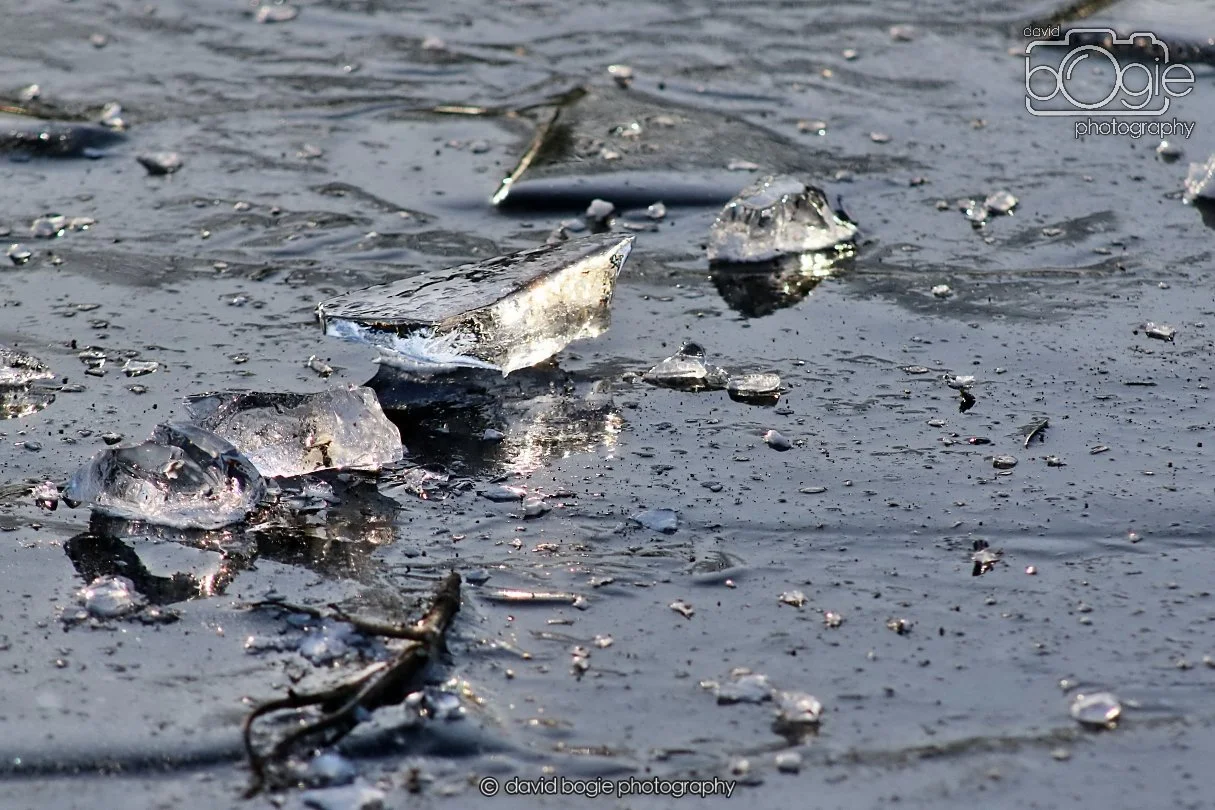 20260103 111006 Beveridge Park 0017.JPG