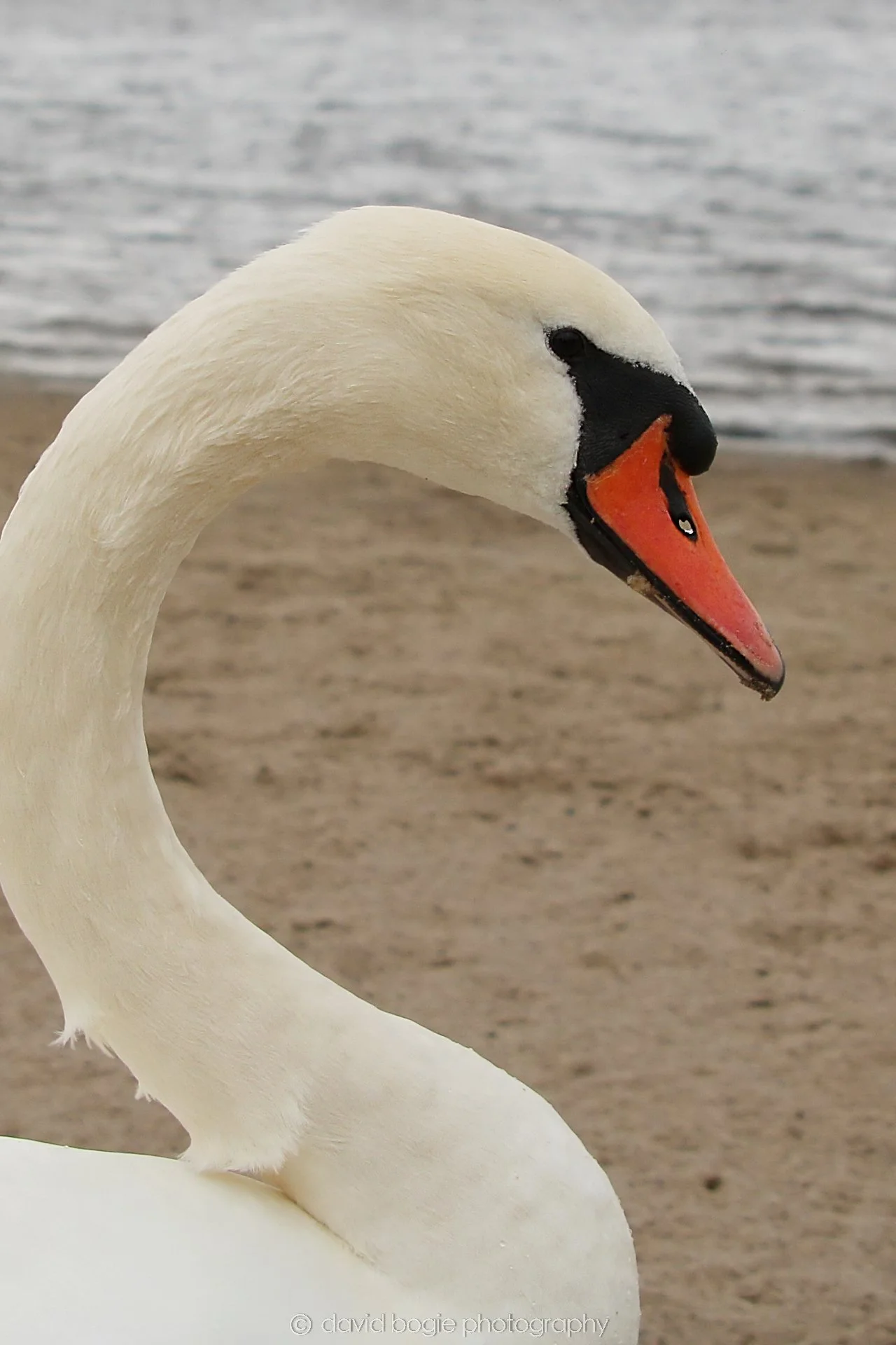 YEAR20220925 Lochore 5.jpg