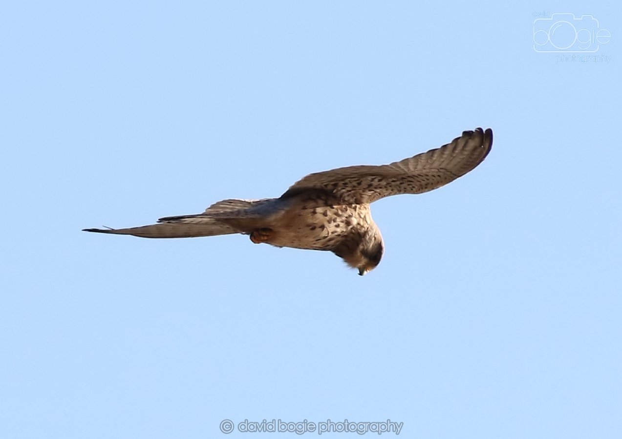 20260314 162241 Elie 0126.jpg