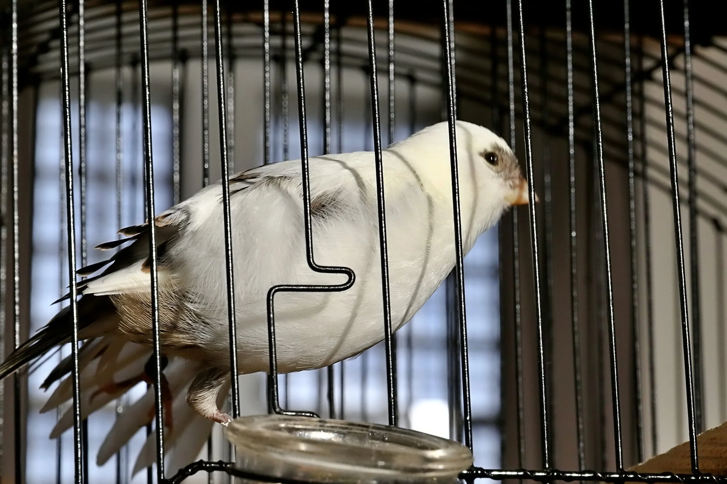 20251102 142420 Markinch CBS  0770.JPG