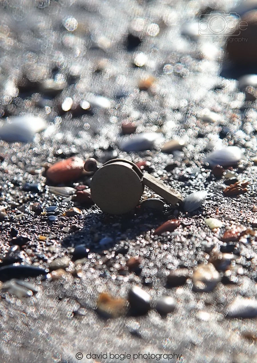 20260307 122038 Kirkcaldy 0059.jpg