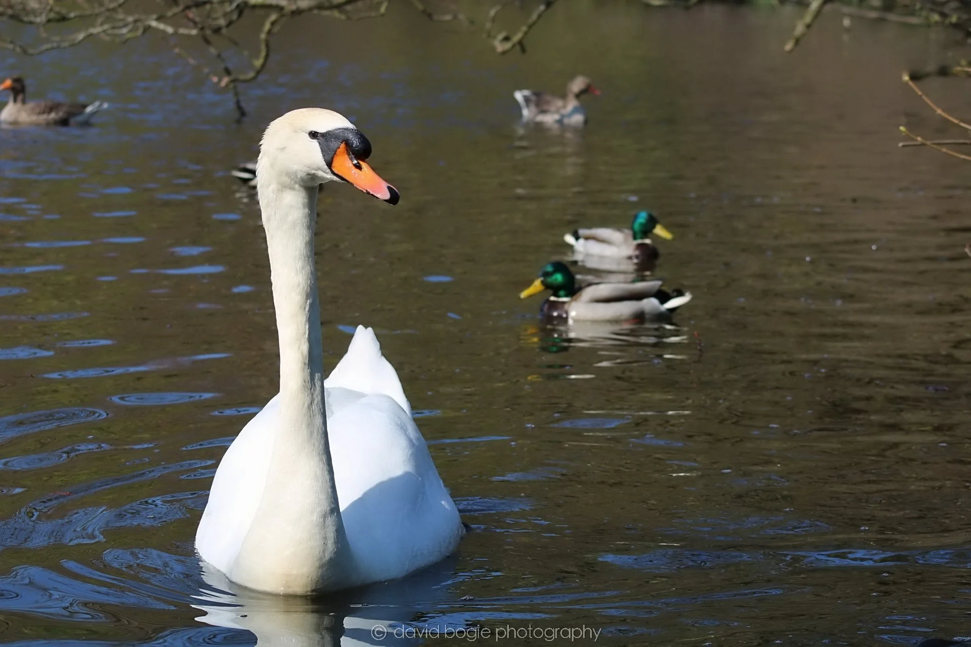 20190411 111712 Otterston 0019.jpg