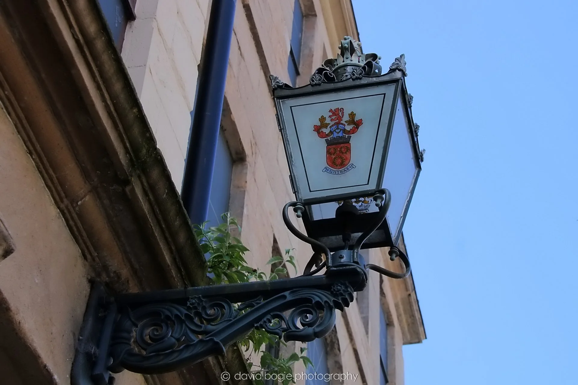 YEAR20240531 103820 Cupar 0143.jpg