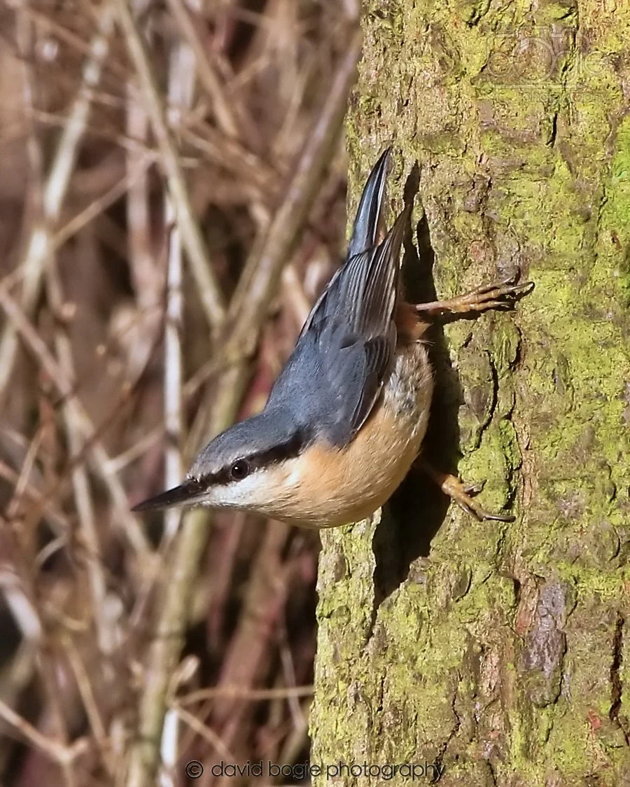 20260128 134203 Dunnikier 0253.jpg