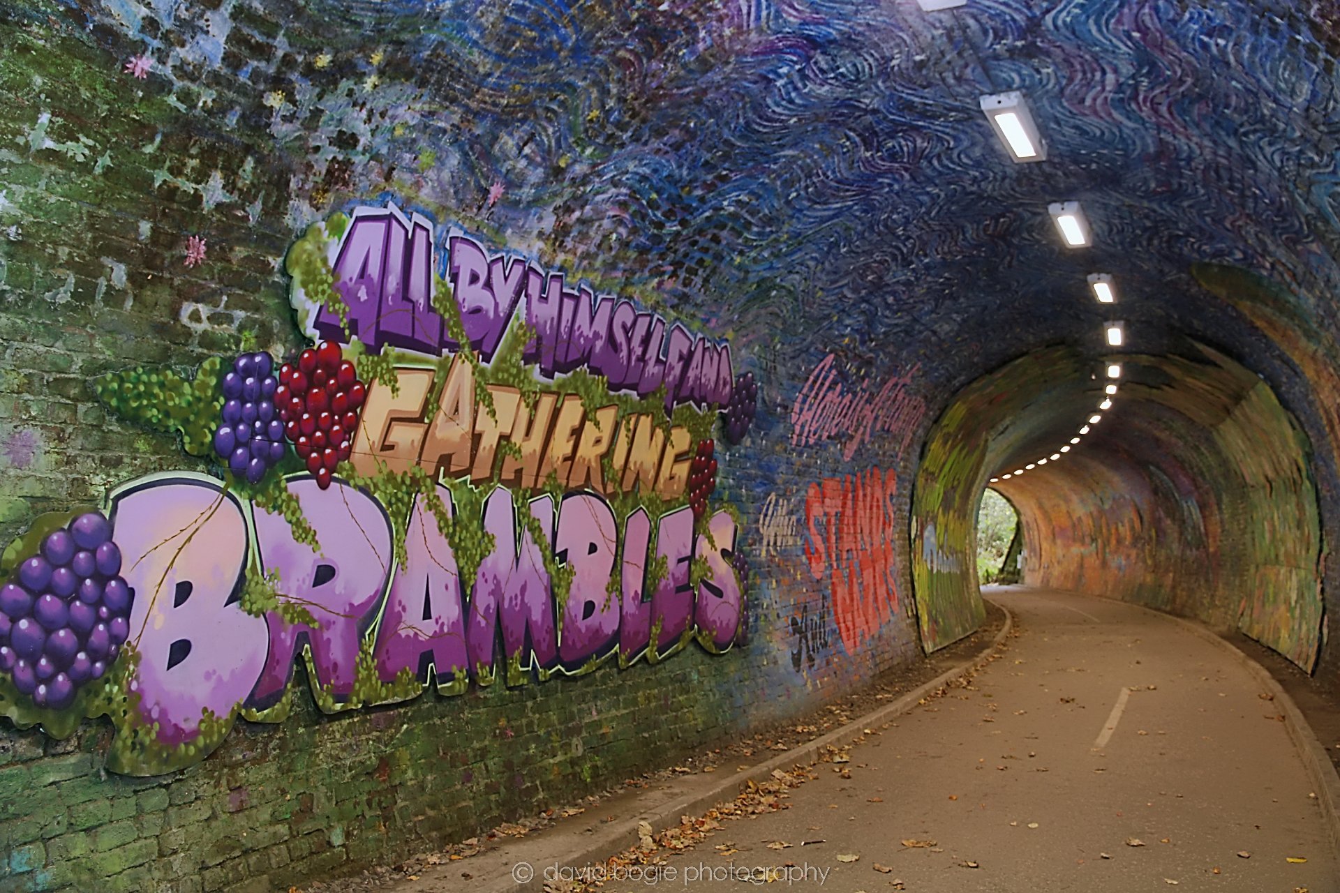 YEAR20221102 141232 Colinton Tunnel 0029.jpg