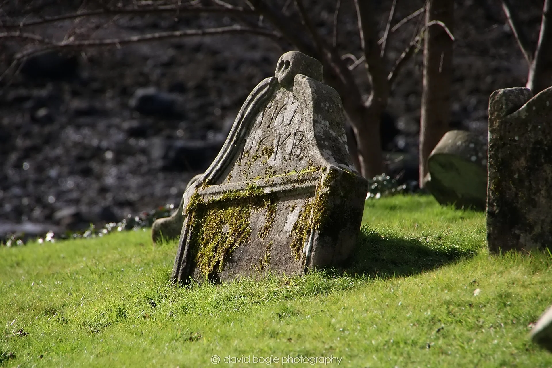 YEAR20240213 114103 Dalgety.jpg