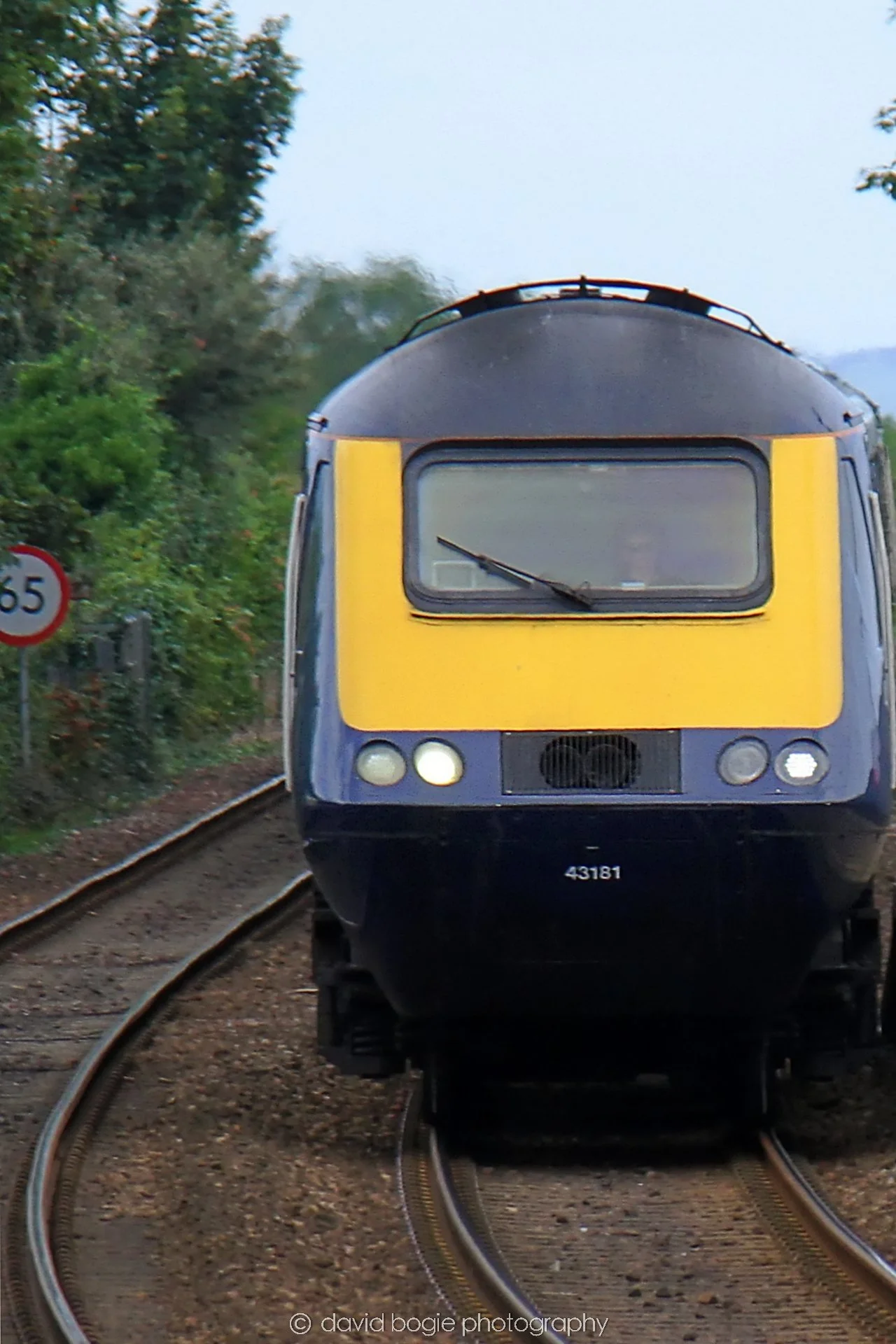 YEAR20230814 Kinghorn 135846 0214b.jpg