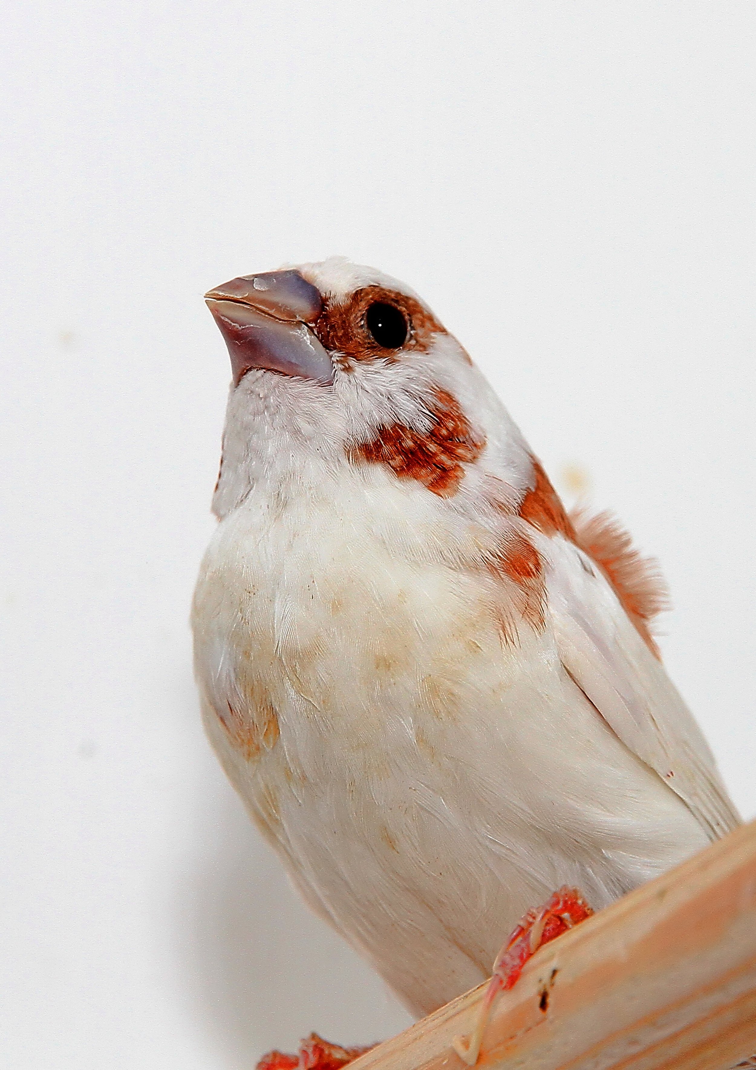 20260331 104257 K&S 0311.jpg