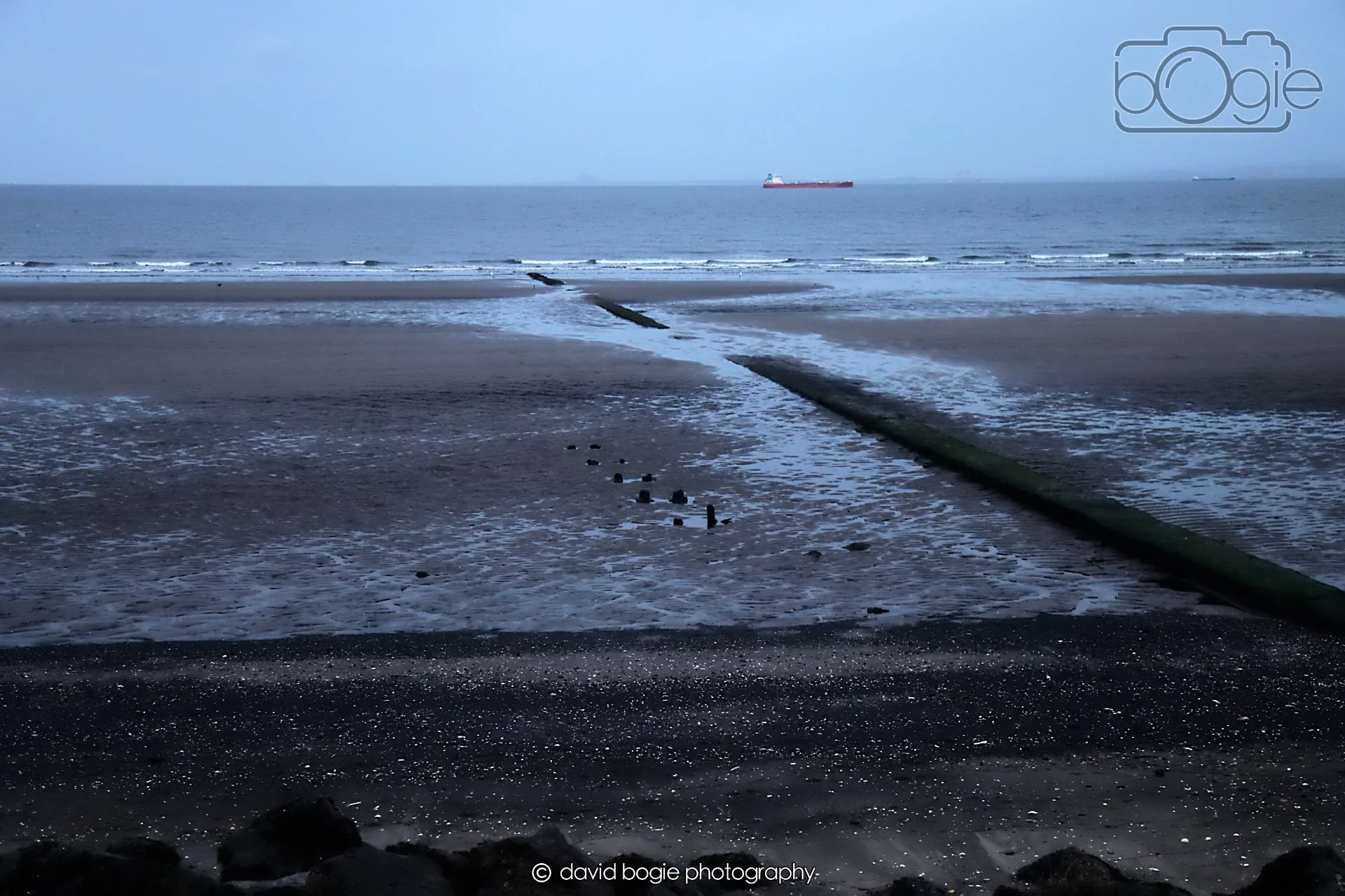 20260416 190932 Links Market0195.jpg