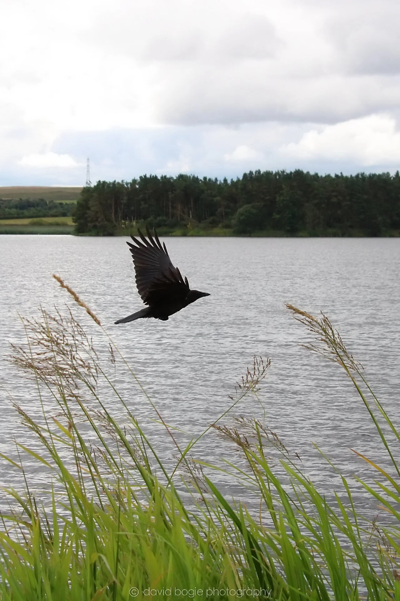 20210729 Lochore 12.jpg