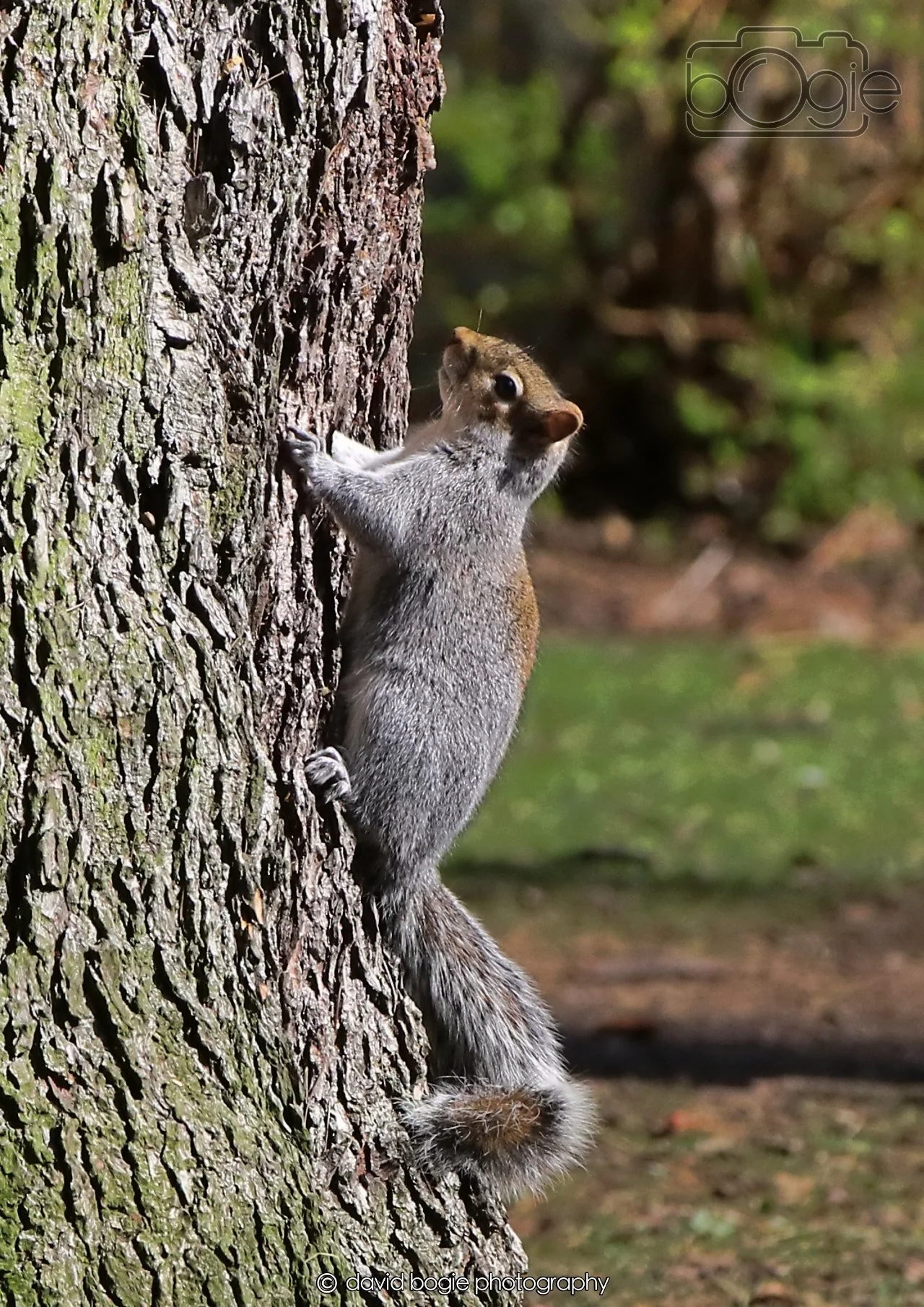 20260402 124433 Ravenscraig 0507.jpg