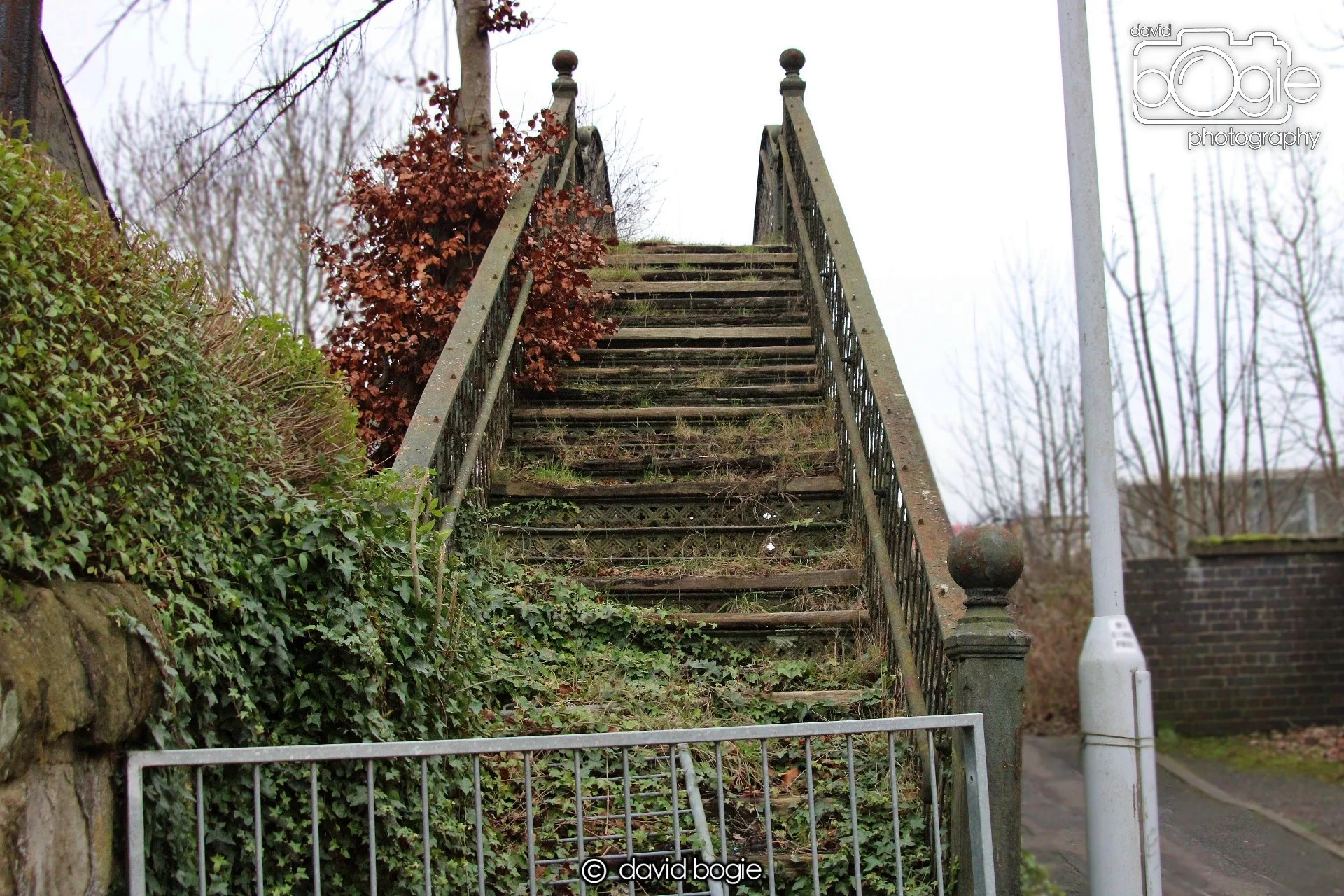 20220108 Dunfermline 00018.JPG