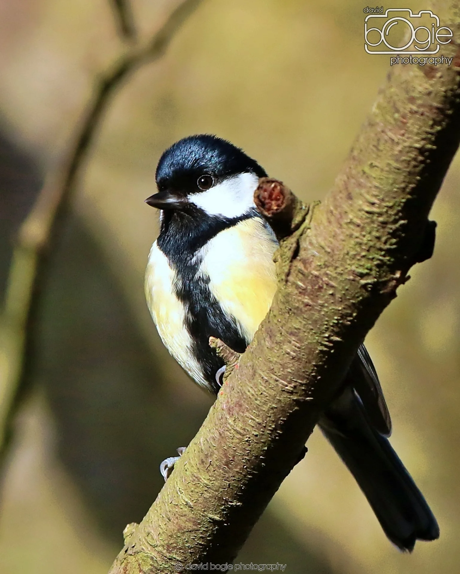 20260128 134619 Dunnikier 0287.JPG