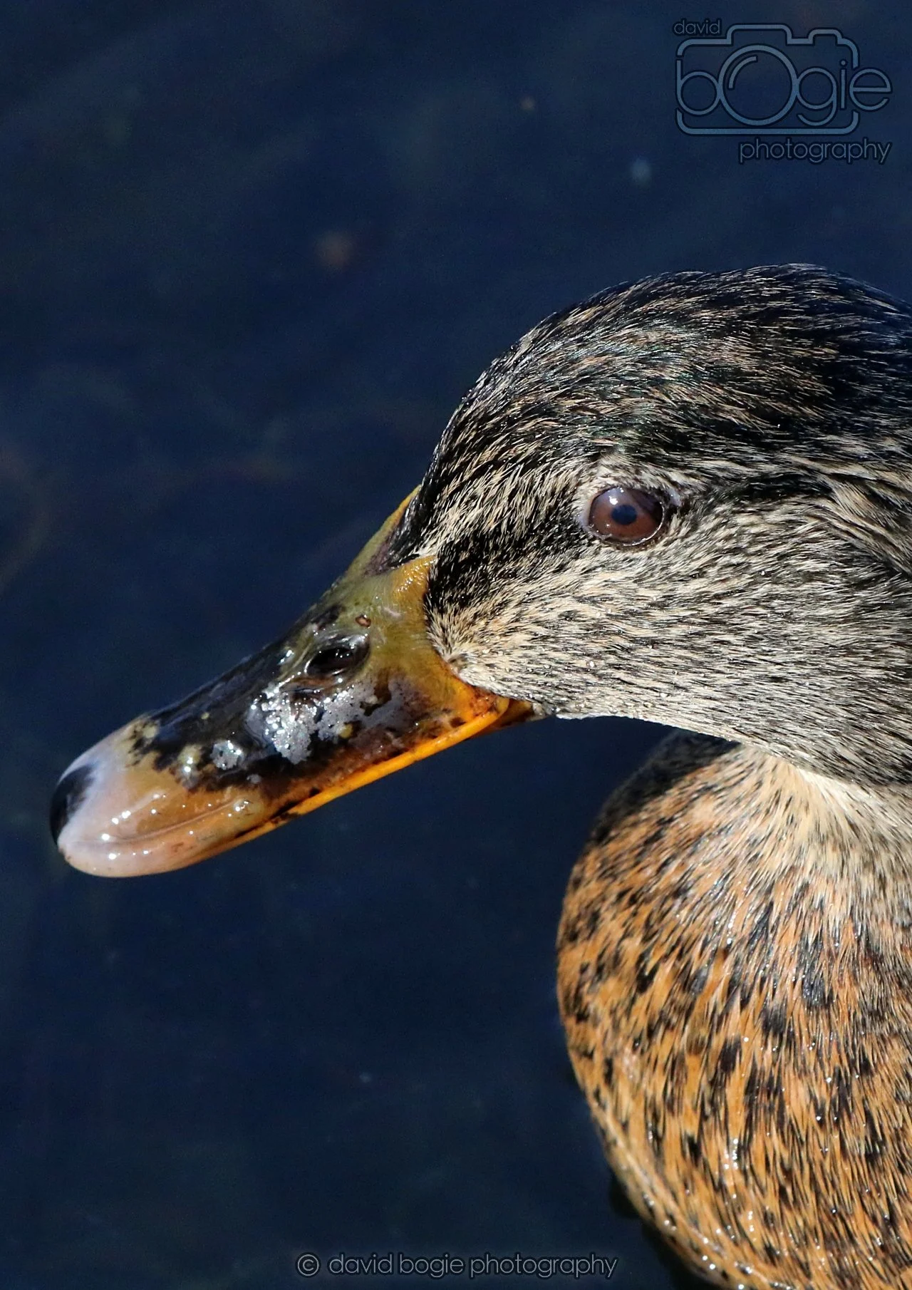 20260319 113550 Beveridge Park 0151.jpg